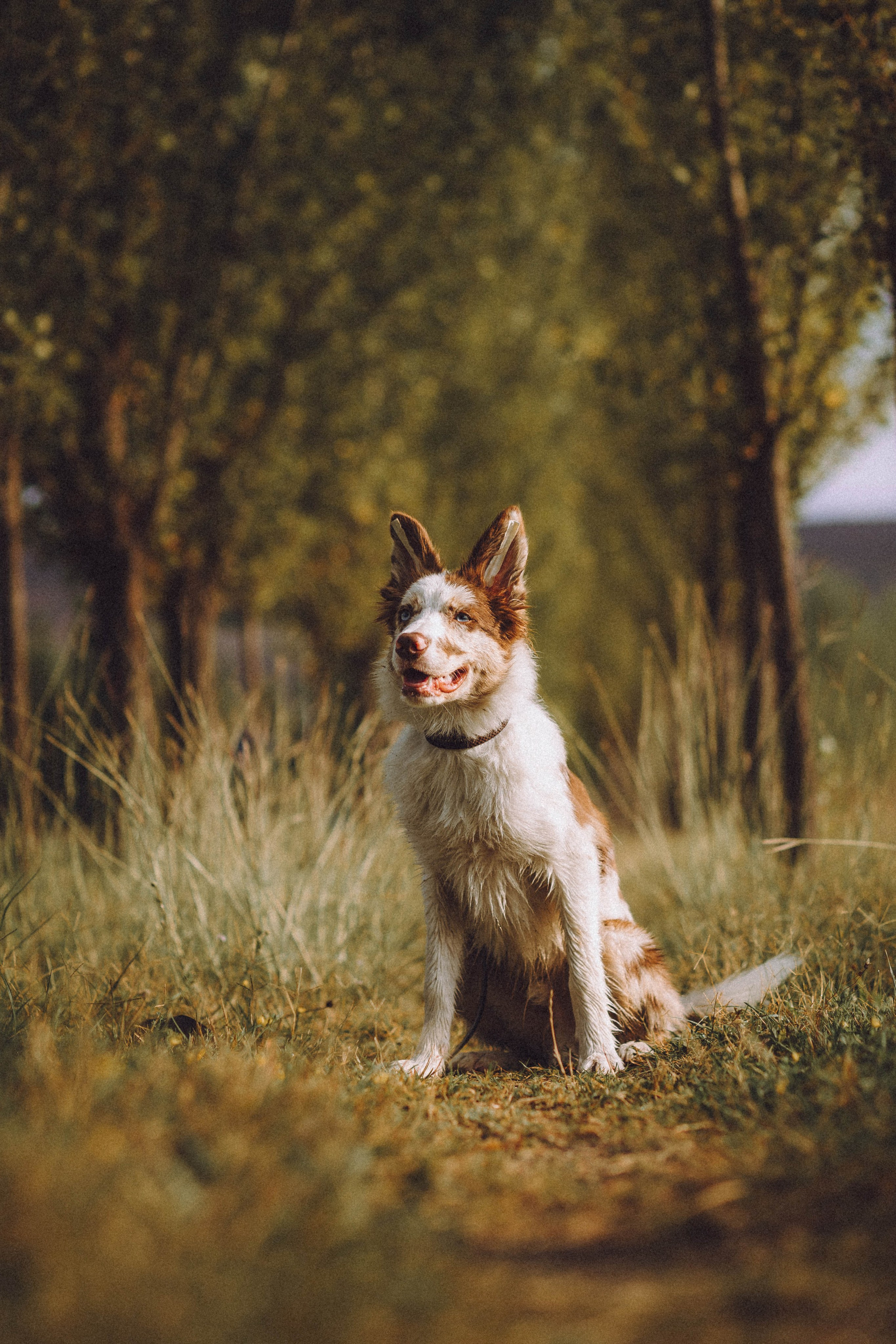 Оля, Саша и Айко