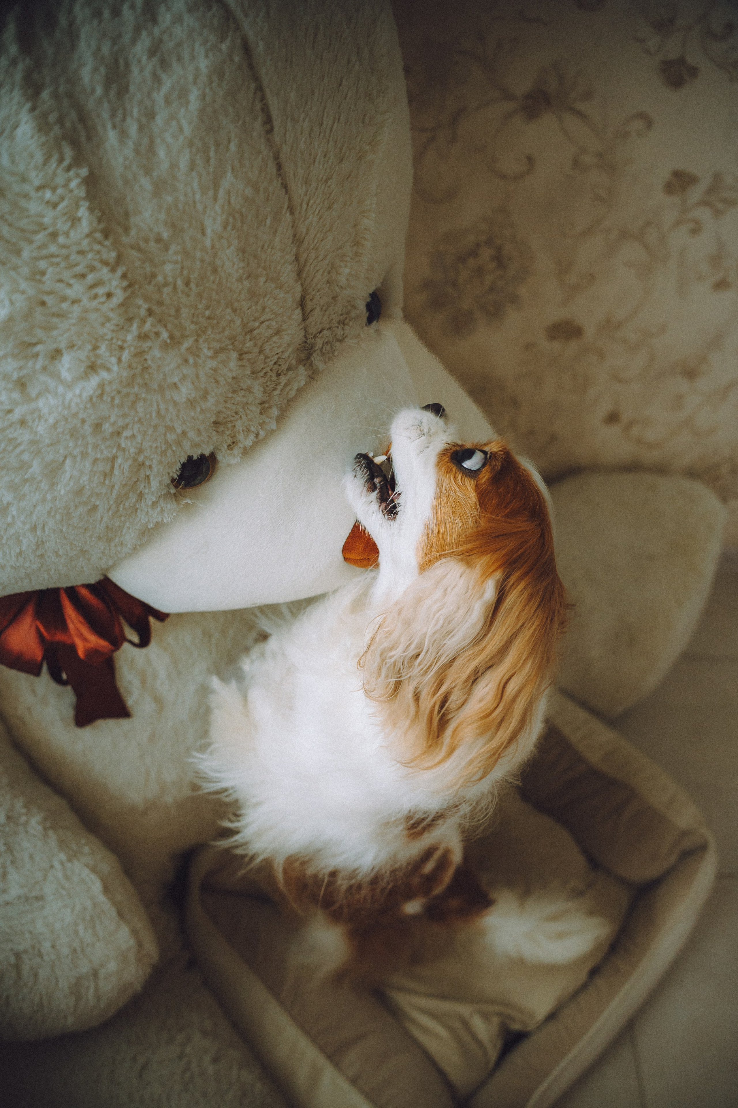 Наташа и Вики