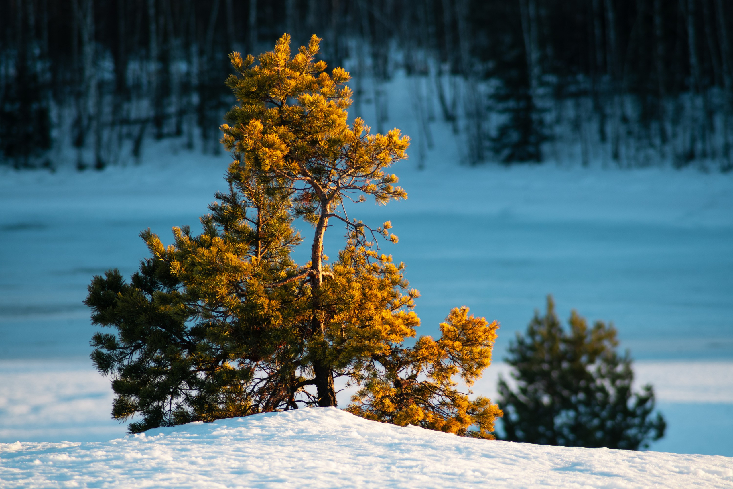 Суворовские карьеры. Фотограф и видеооператор в Туле | Даниил Рыбак