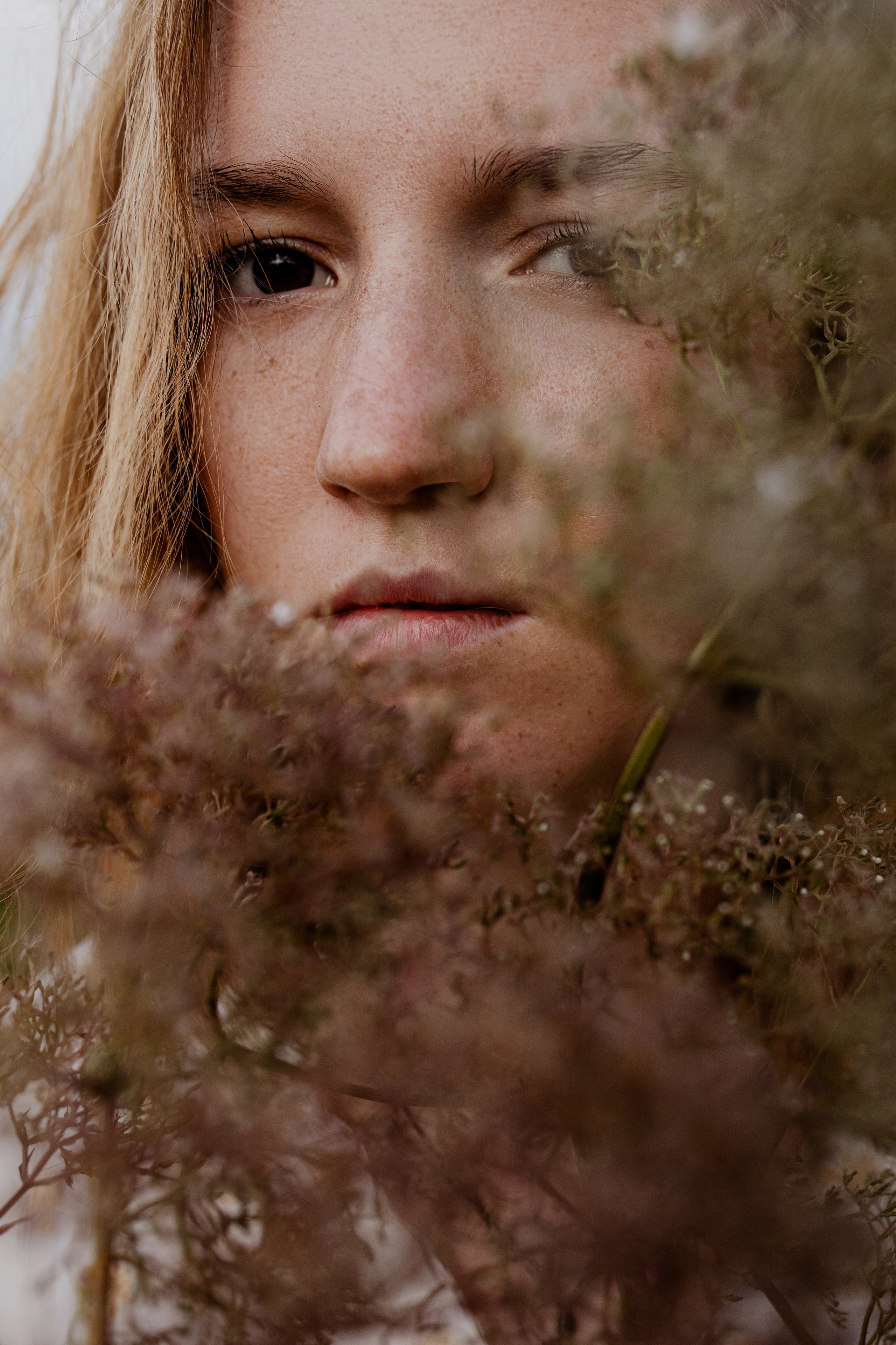 Дерево после грозы. Портретный фотограф Александра Птица. Снимаю истории о вас