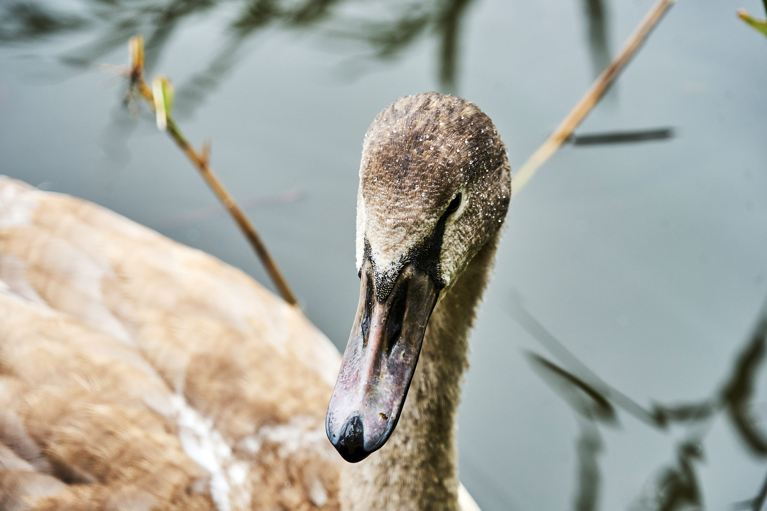 ПРИРОДА. ПЕЙЗАЖИ. Семейный фотограф. Путешествующий фотограф в Екатеринбурге Евгений Вор