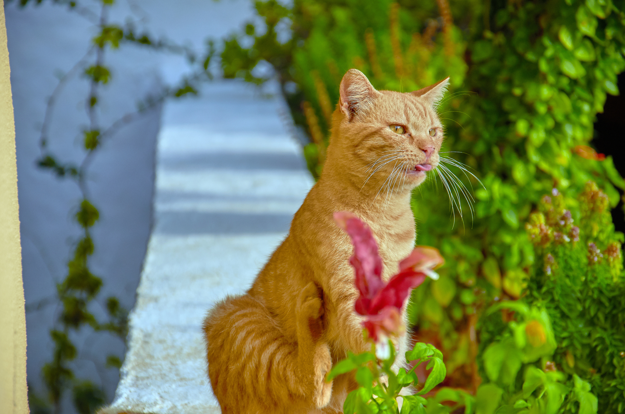 ПРИРОДА. ПЕЙЗАЖИ. Семейный фотограф. Путешествующий фотограф в Екатеринбурге Евгений Вор