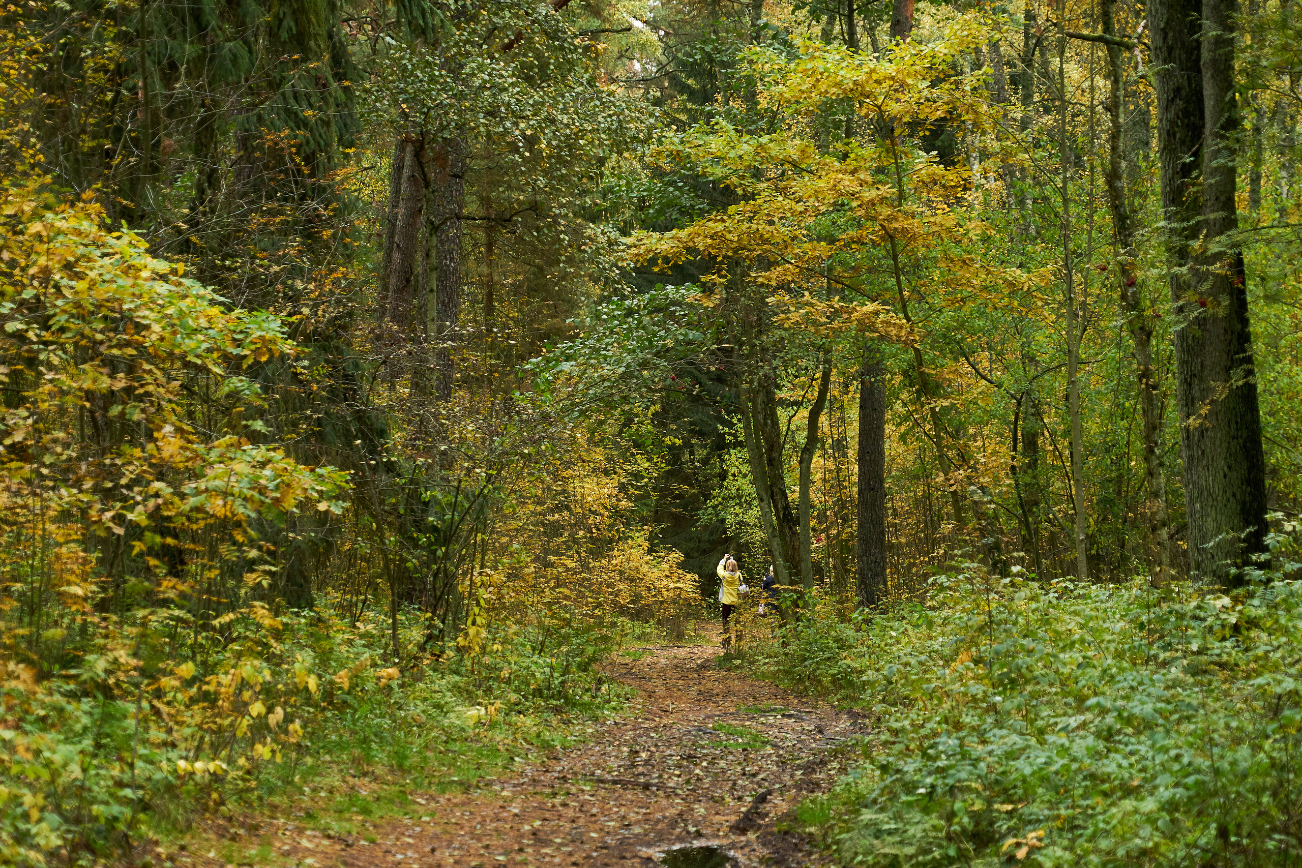 ПРИРОДА. ПЕЙЗАЖИ. Семейный фотограф. Путешествующий фотограф в Екатеринбурге Евгений Вор