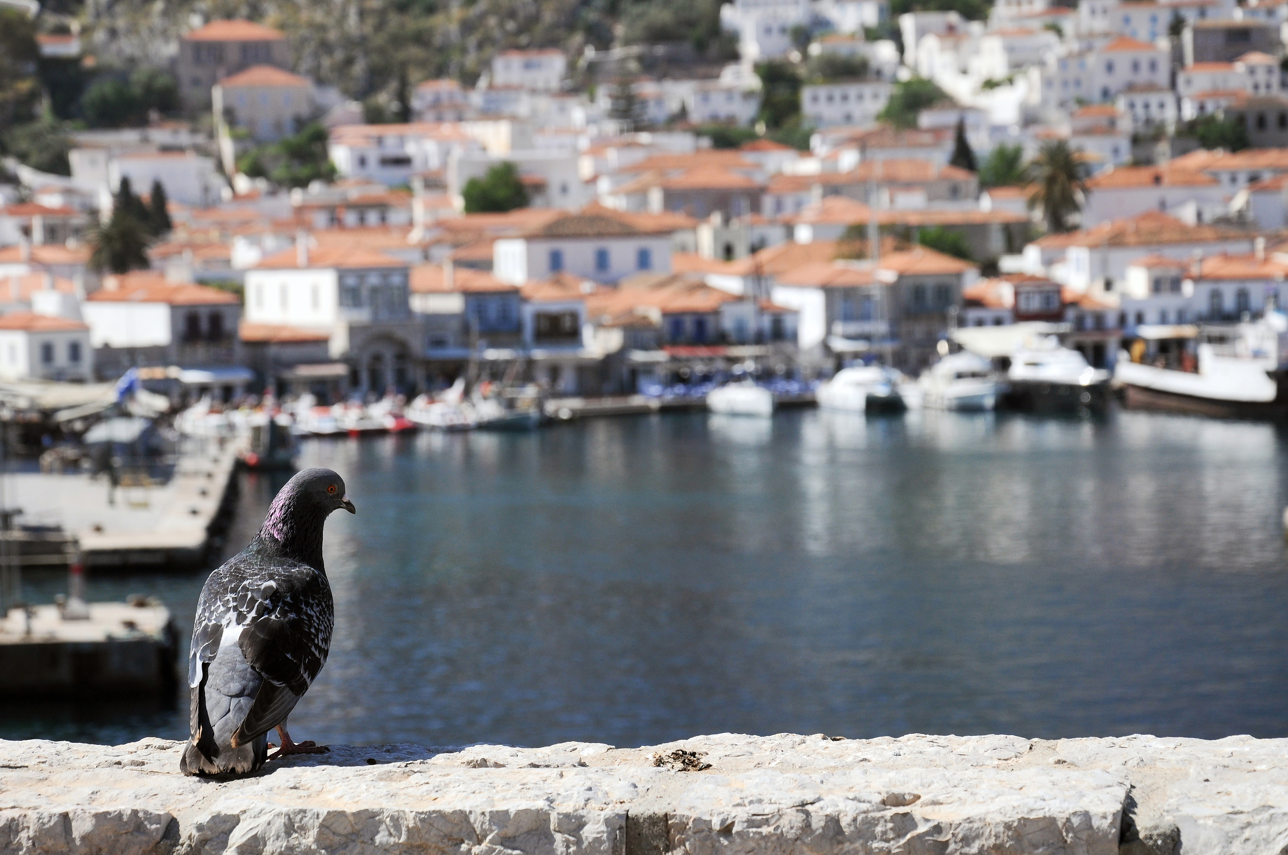 ДОСТОПРИМЕЧАТЕЛЬНОСТИ. ПУТЕШЕСТВИЯ. Семейный фотограф. Путешествующий фотограф в Екатеринбурге Евгений Вор