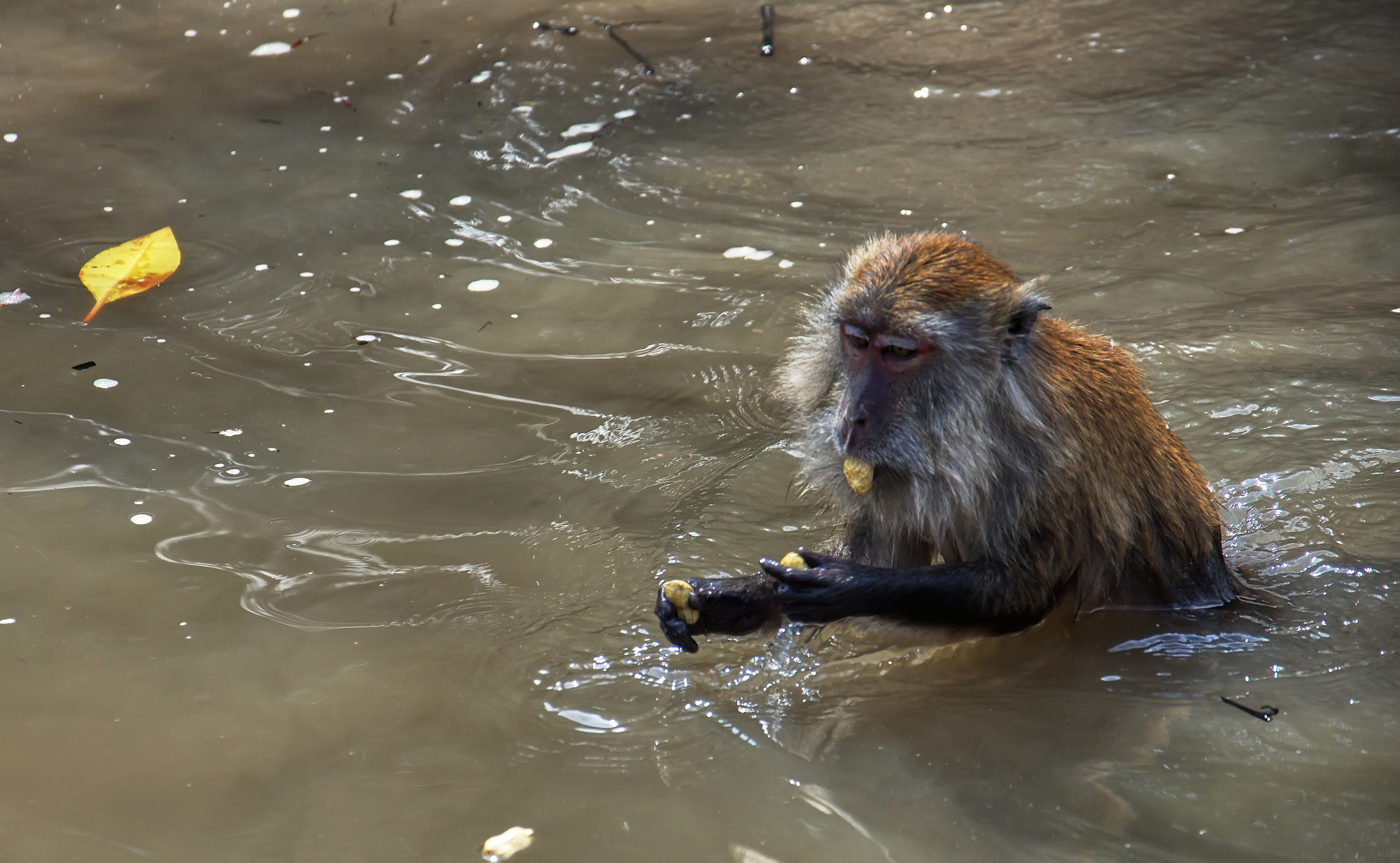 ПРИРОДА. ПЕЙЗАЖИ. Семейный фотограф. Путешествующий фотограф в Екатеринбурге Евгений Вор