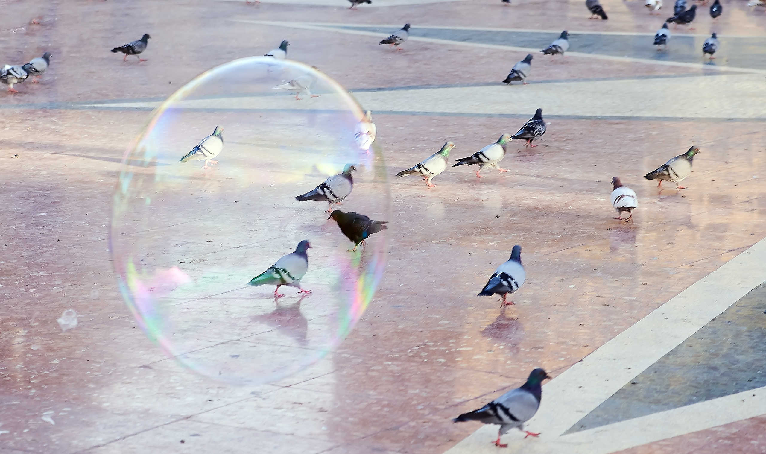 STREET PHOTO. Семейный фотограф. Путешествующий фотограф в Екатеринбурге Евгений Вор