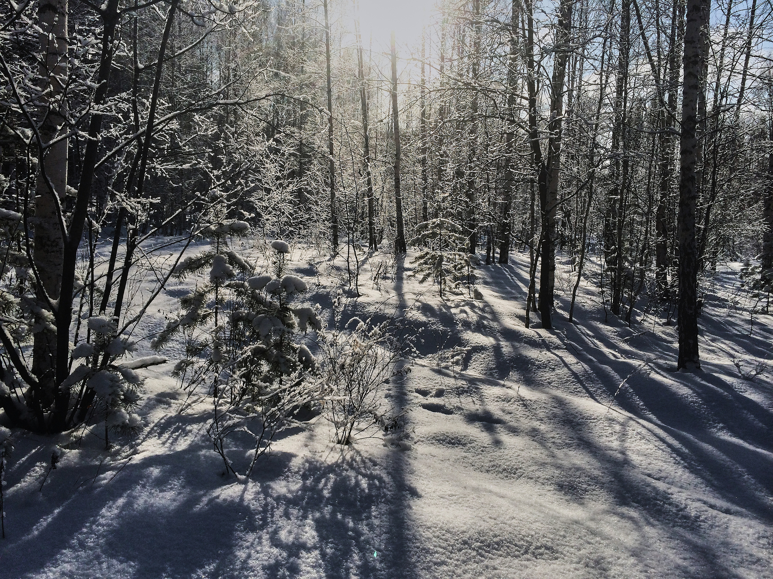 ПРИРОДА. ПЕЙЗАЖИ. Семейный фотограф. Путешествующий фотограф в Екатеринбурге Евгений Вор