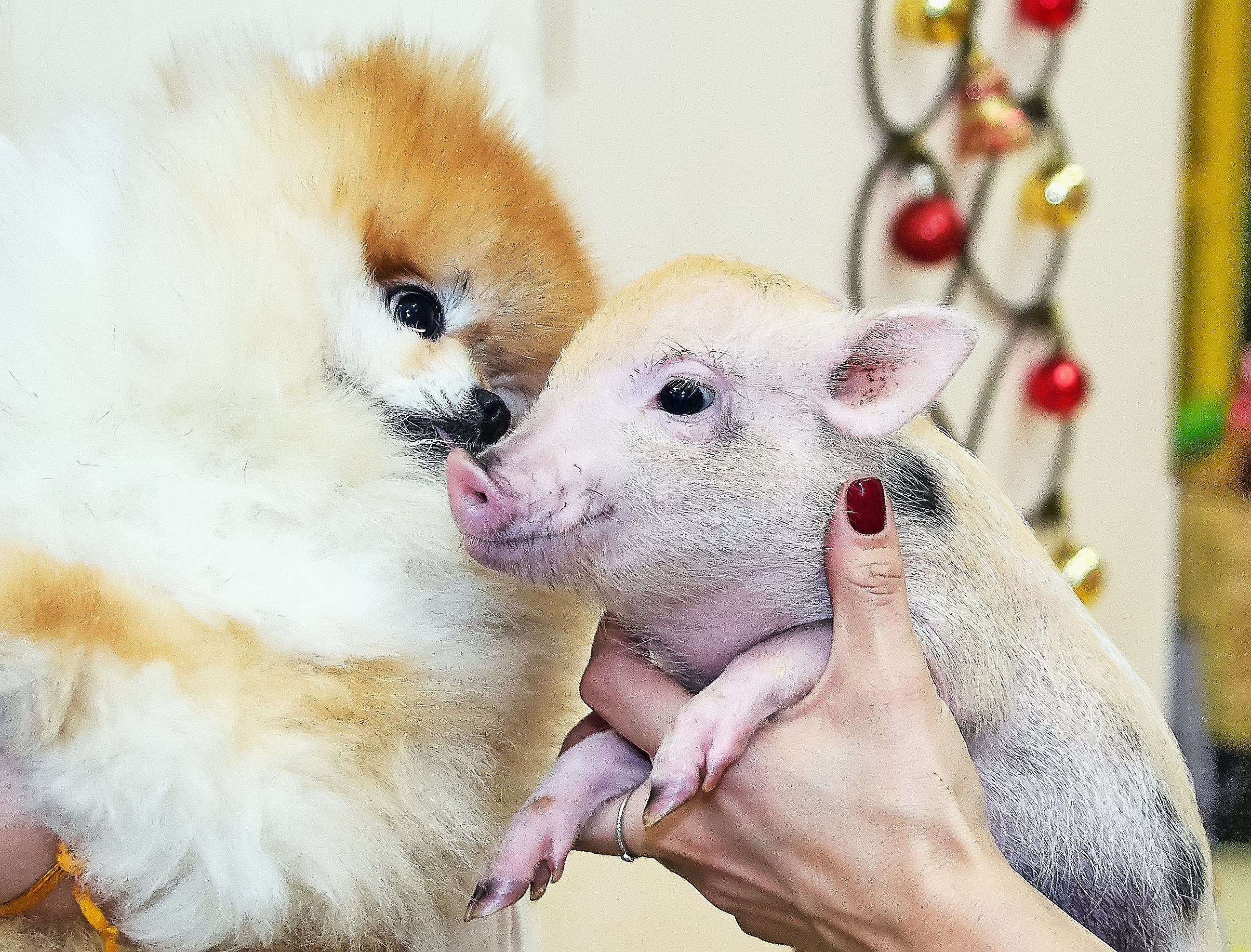 STREET PHOTO. Семейный фотограф. Путешествующий фотограф в Екатеринбурге Евгений Вор