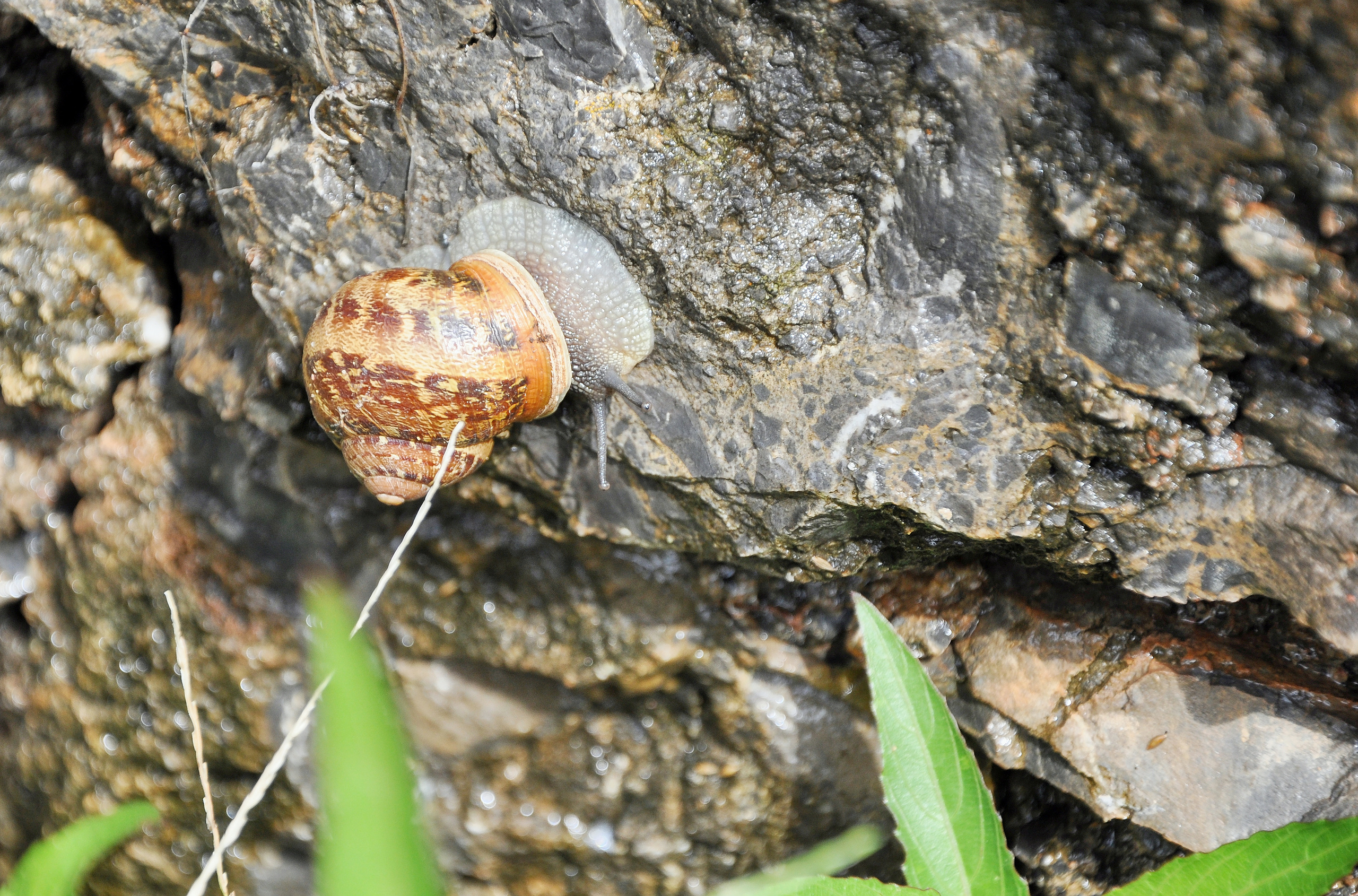 ПРИРОДА. ПЕЙЗАЖИ. Семейный фотограф. Путешествующий фотограф в Екатеринбурге Евгений Вор