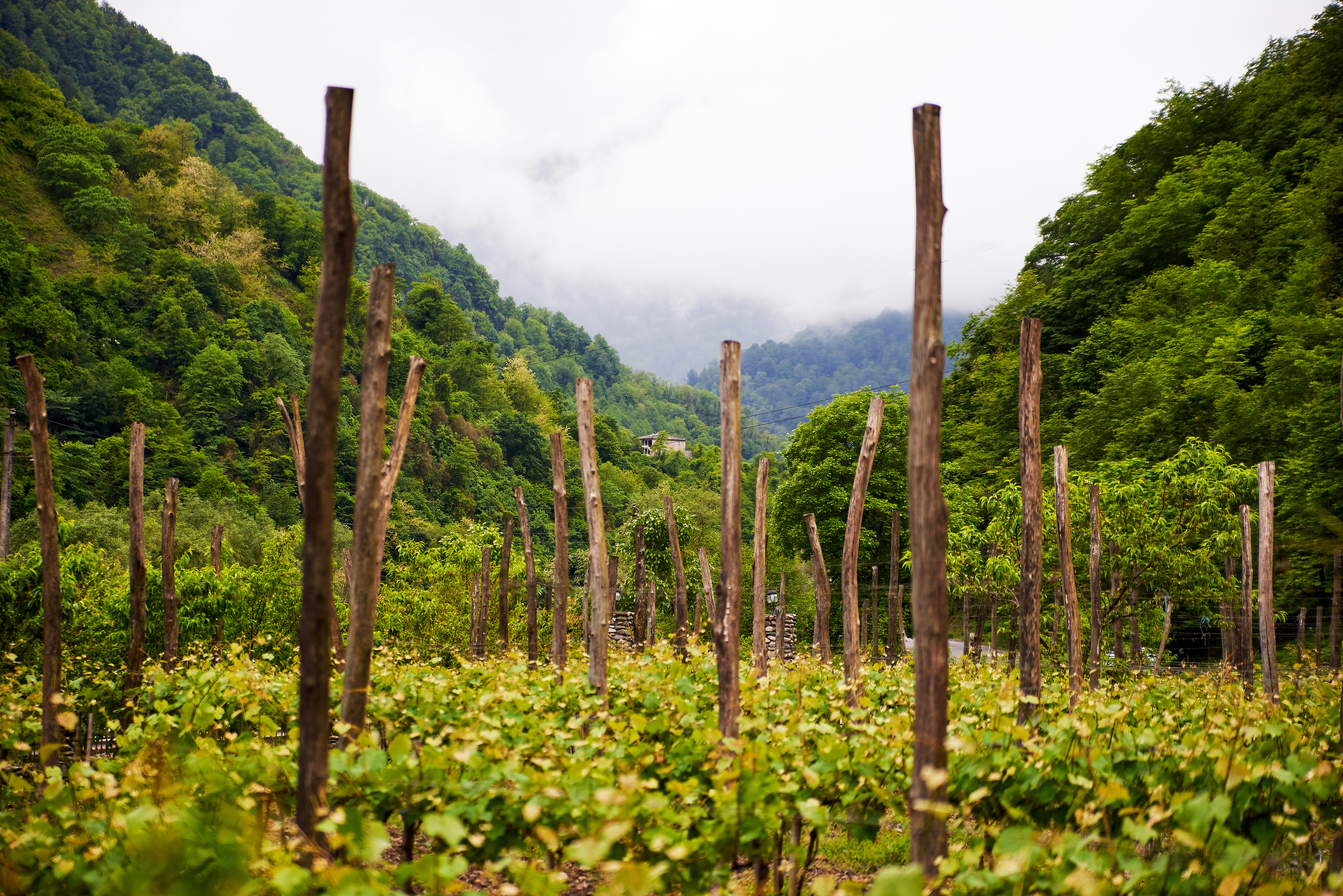 ПРИРОДА. ПЕЙЗАЖИ. Семейный фотограф. Путешествующий фотограф в Екатеринбурге Евгений Вор