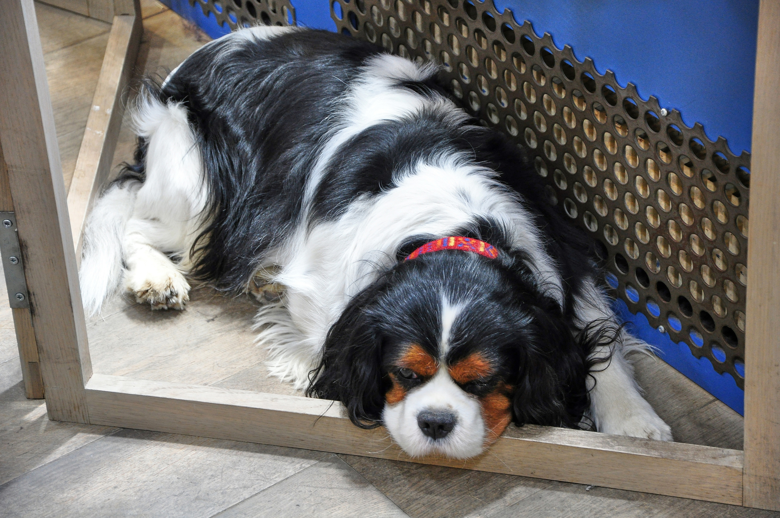 STREET PHOTO. Семейный фотограф. Путешествующий фотограф в Екатеринбурге Евгений Вор