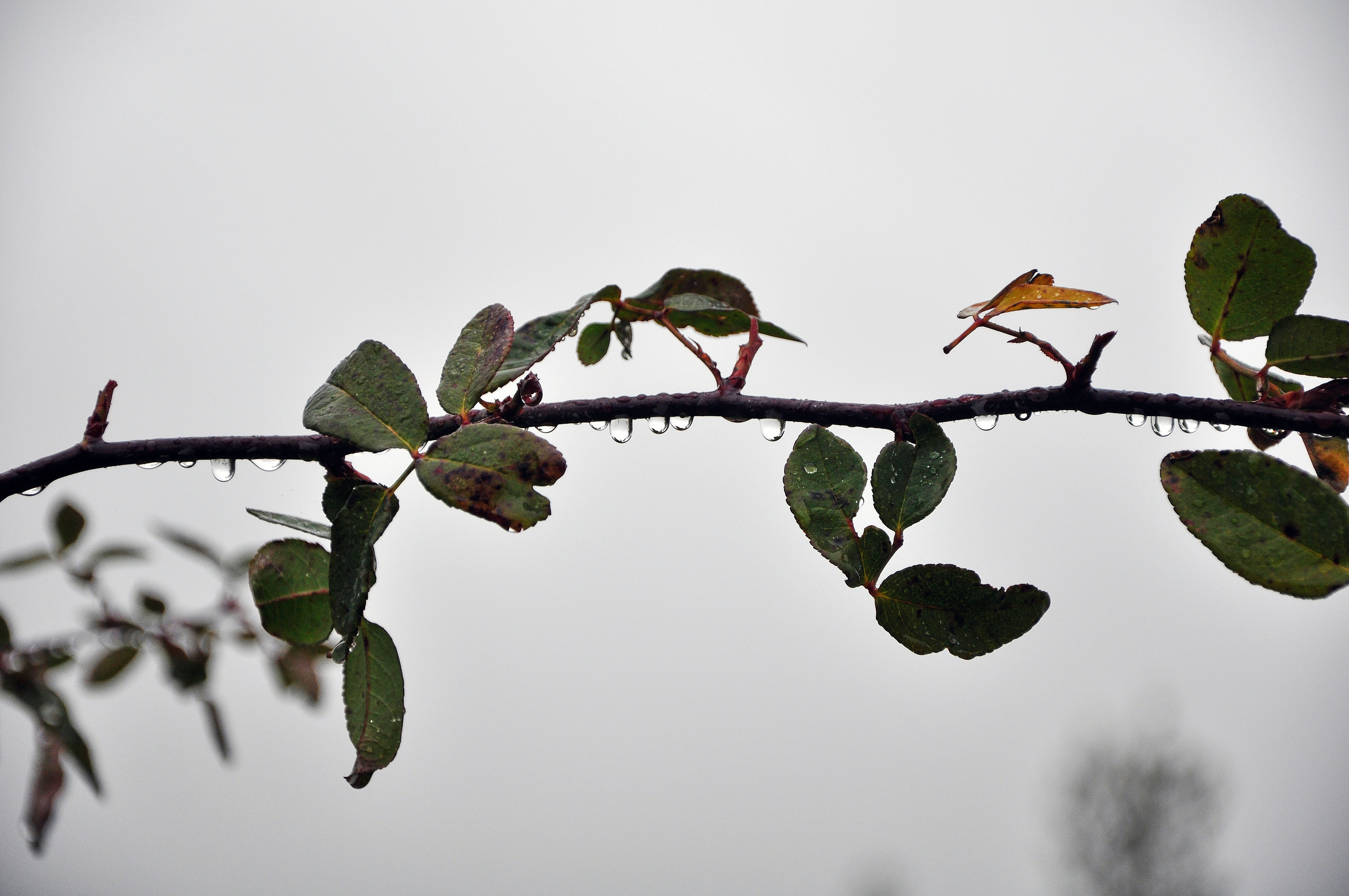 ПРИРОДА. ПЕЙЗАЖИ. Семейный фотограф. Путешествующий фотограф в Екатеринбурге Евгений Вор