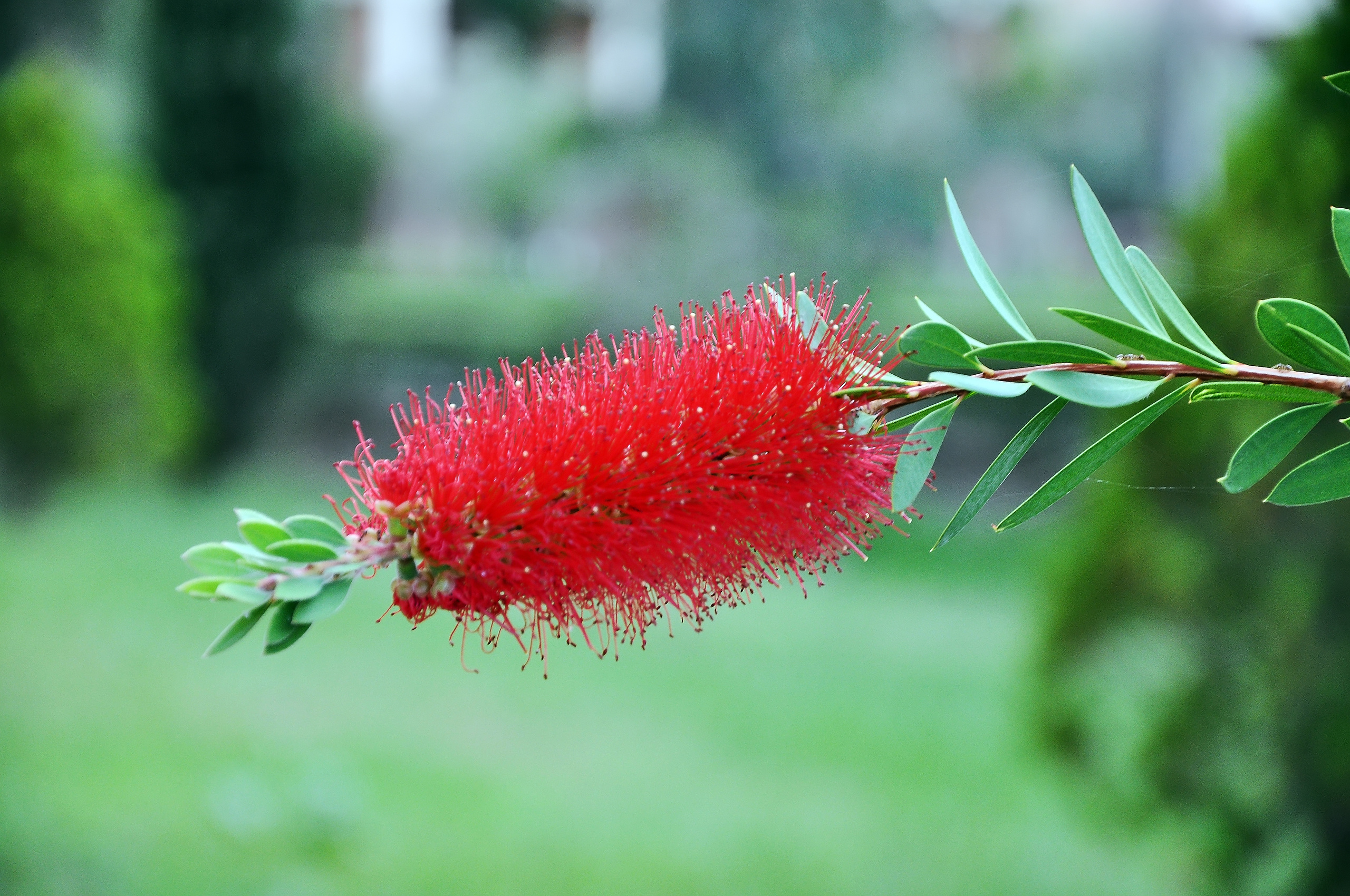ПРИРОДА. ПЕЙЗАЖИ. Семейный фотограф. Путешествующий фотограф в Екатеринбурге Евгений Вор