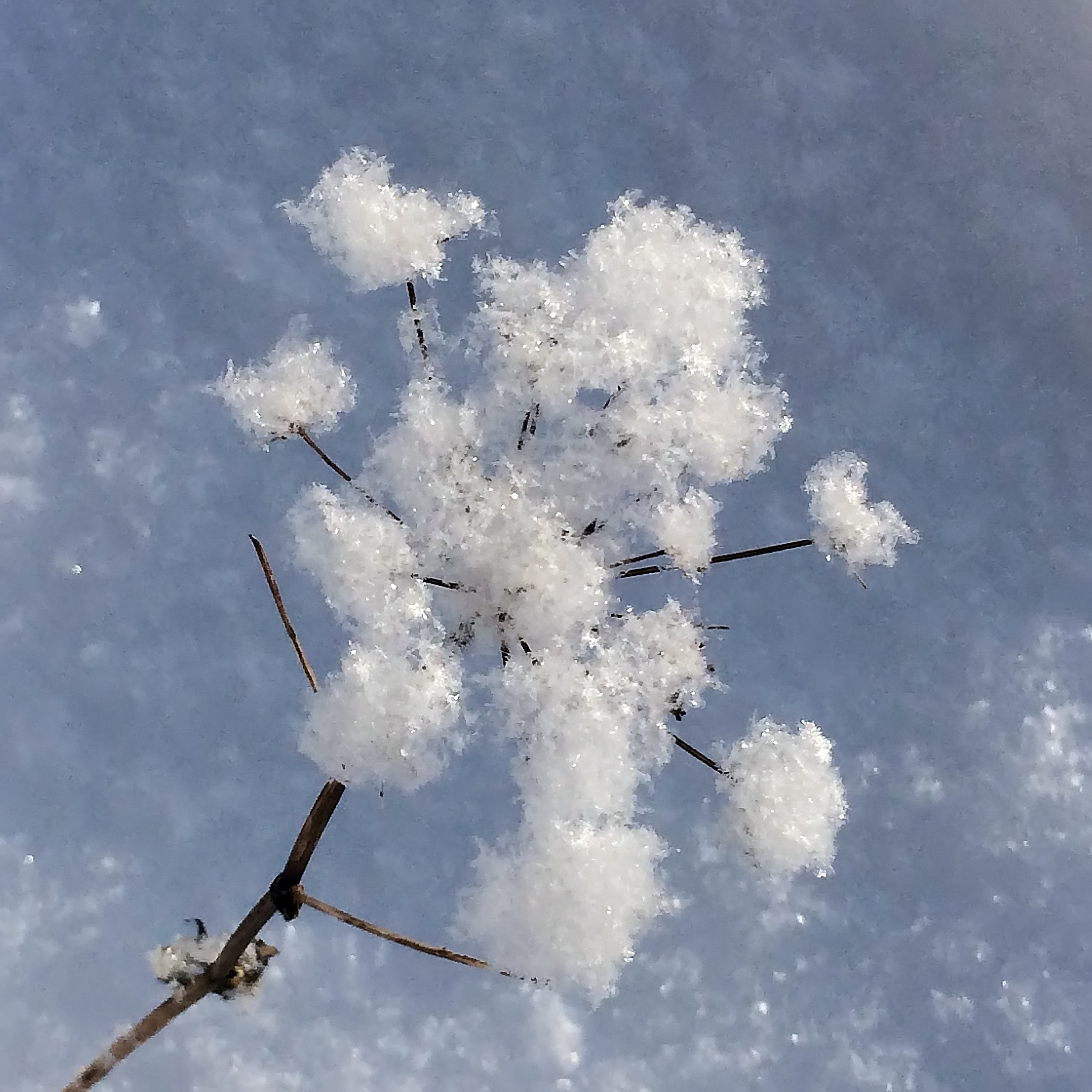 ПРИРОДА. ПЕЙЗАЖИ. Семейный фотограф. Путешествующий фотограф в Екатеринбурге Евгений Вор