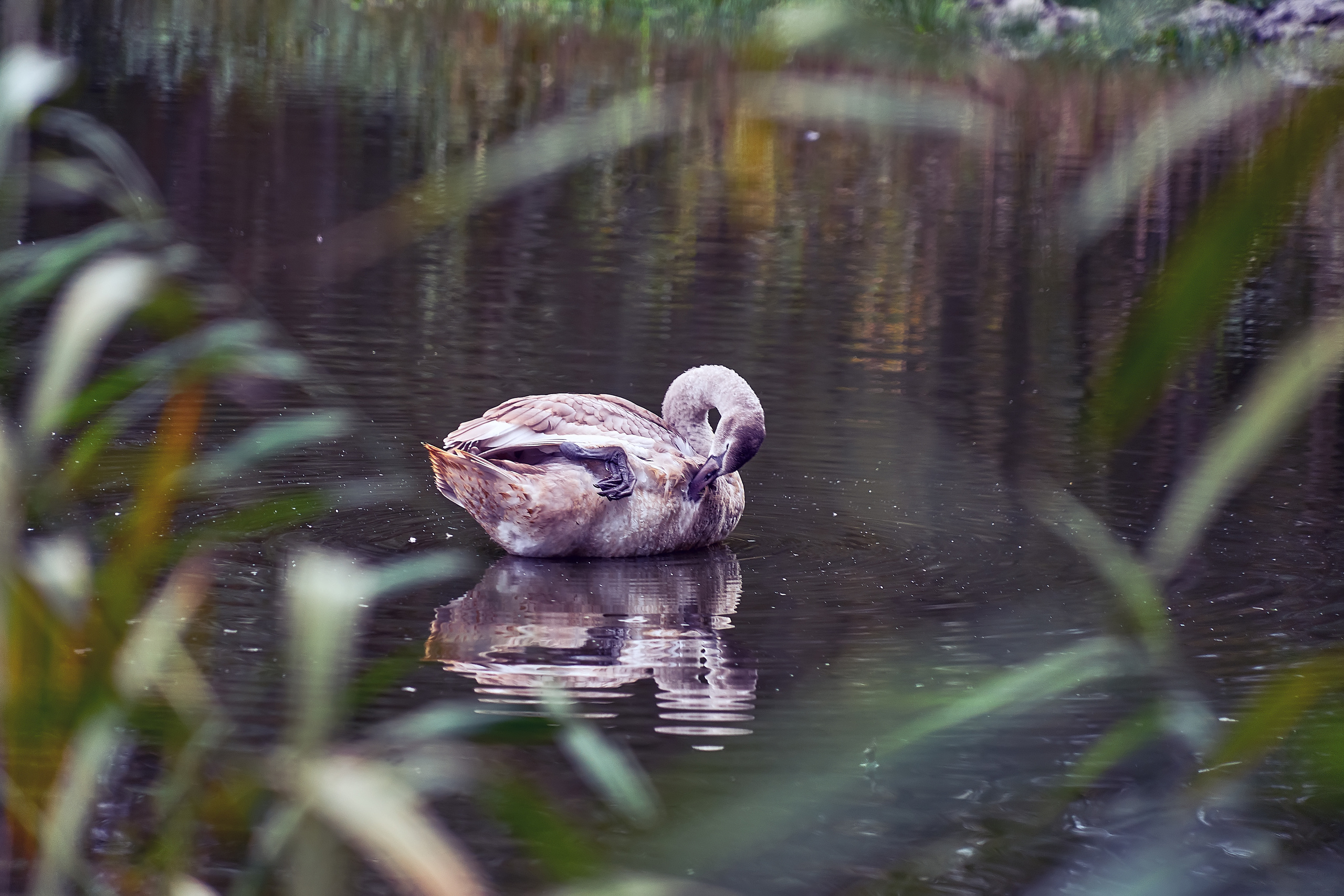 ПРИРОДА. ПЕЙЗАЖИ. Семейный фотограф. Путешествующий фотограф в Екатеринбурге Евгений Вор