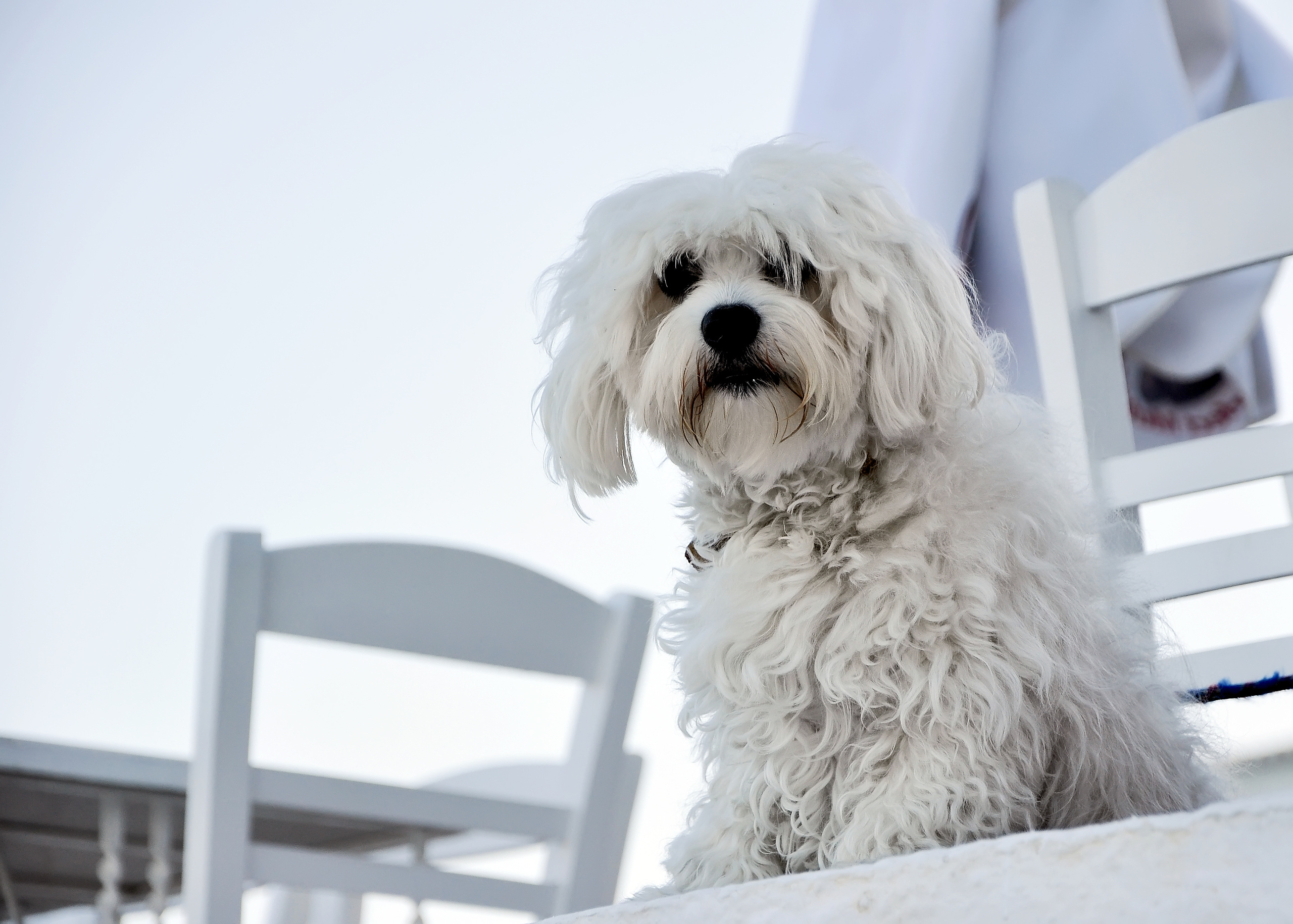 STREET PHOTO. Семейный фотограф. Путешествующий фотограф в Екатеринбурге Евгений Вор
