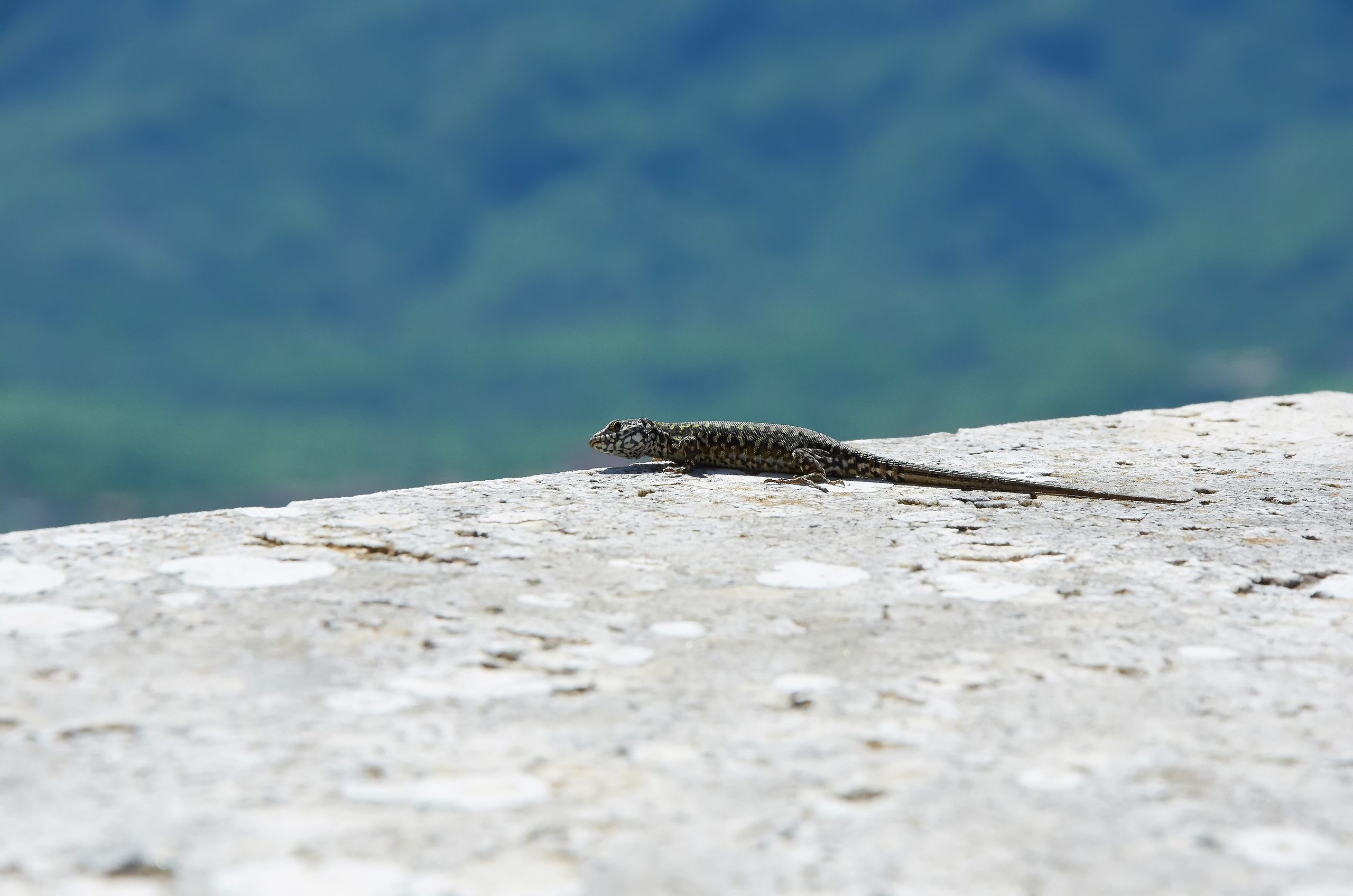 ПРИРОДА. ПЕЙЗАЖИ. Семейный фотограф. Путешествующий фотограф в Екатеринбурге Евгений Вор