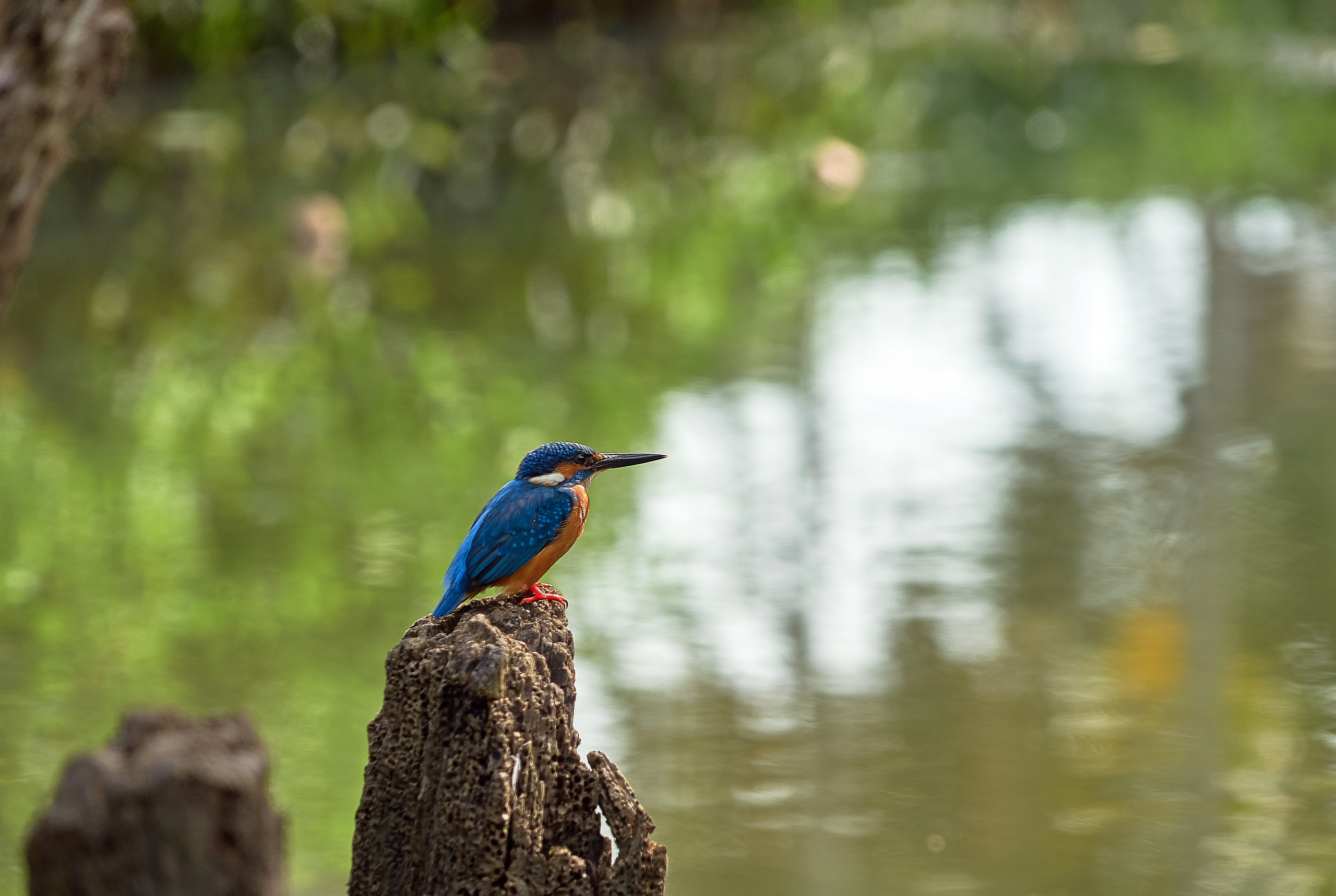 ПРИРОДА. ПЕЙЗАЖИ. Семейный фотограф. Путешествующий фотограф в Екатеринбурге Евгений Вор