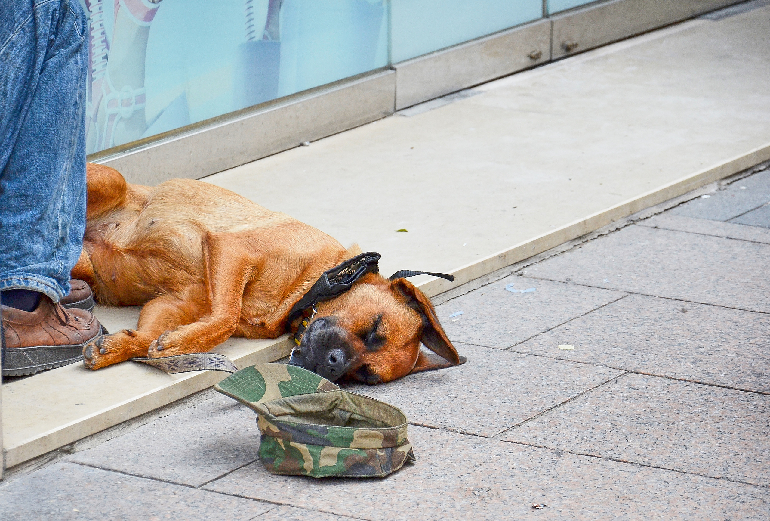 STREET PHOTO. Семейный фотограф. Путешествующий фотограф в Екатеринбурге Евгений Вор