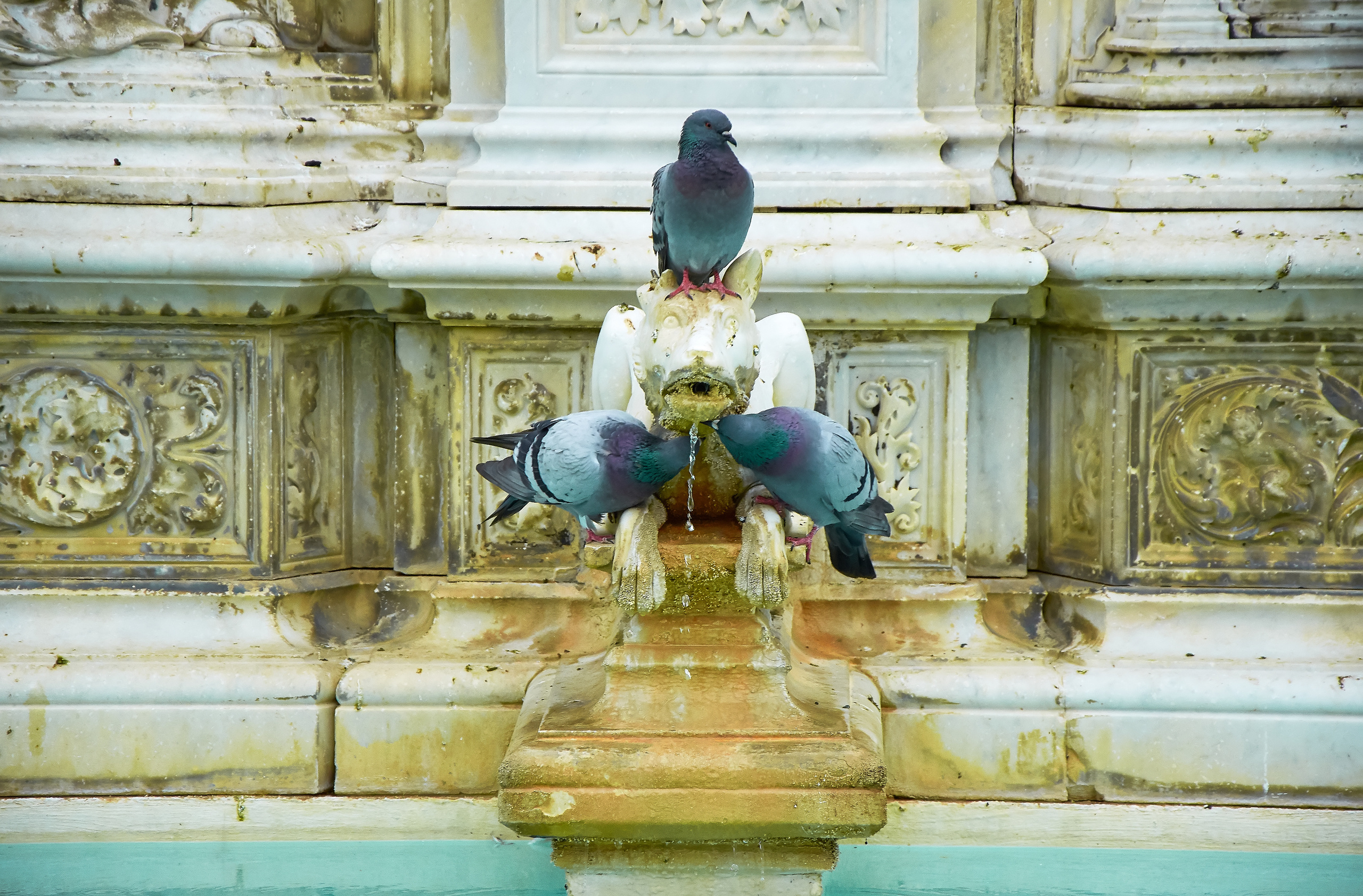 STREET PHOTO. Семейный фотограф. Путешествующий фотограф в Екатеринбурге Евгений Вор