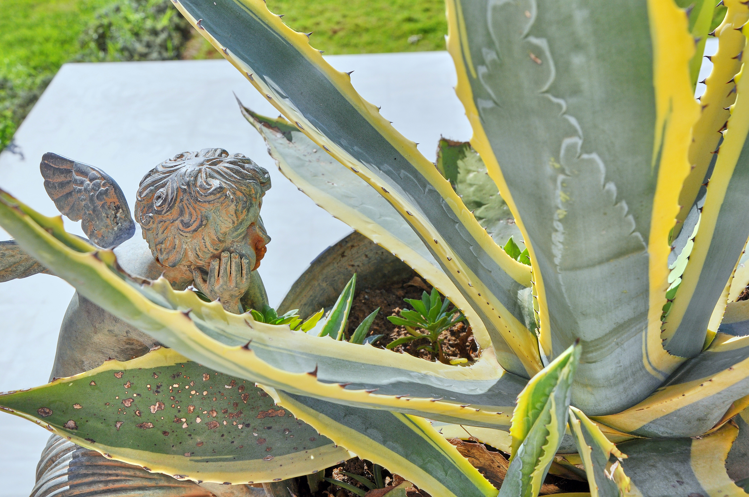 STREET PHOTO. Семейный фотограф. Путешествующий фотограф в Екатеринбурге Евгений Вор