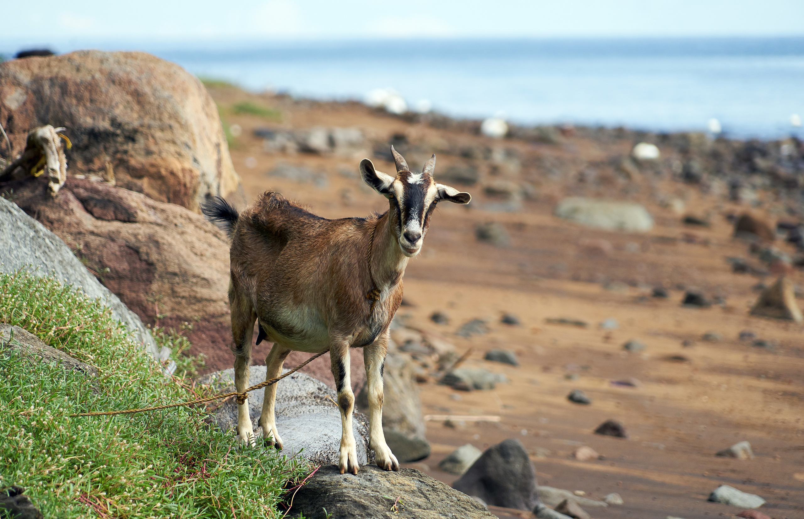 ПРИРОДА. ПЕЙЗАЖИ. Семейный фотограф. Путешествующий фотограф в Екатеринбурге Евгений Вор
