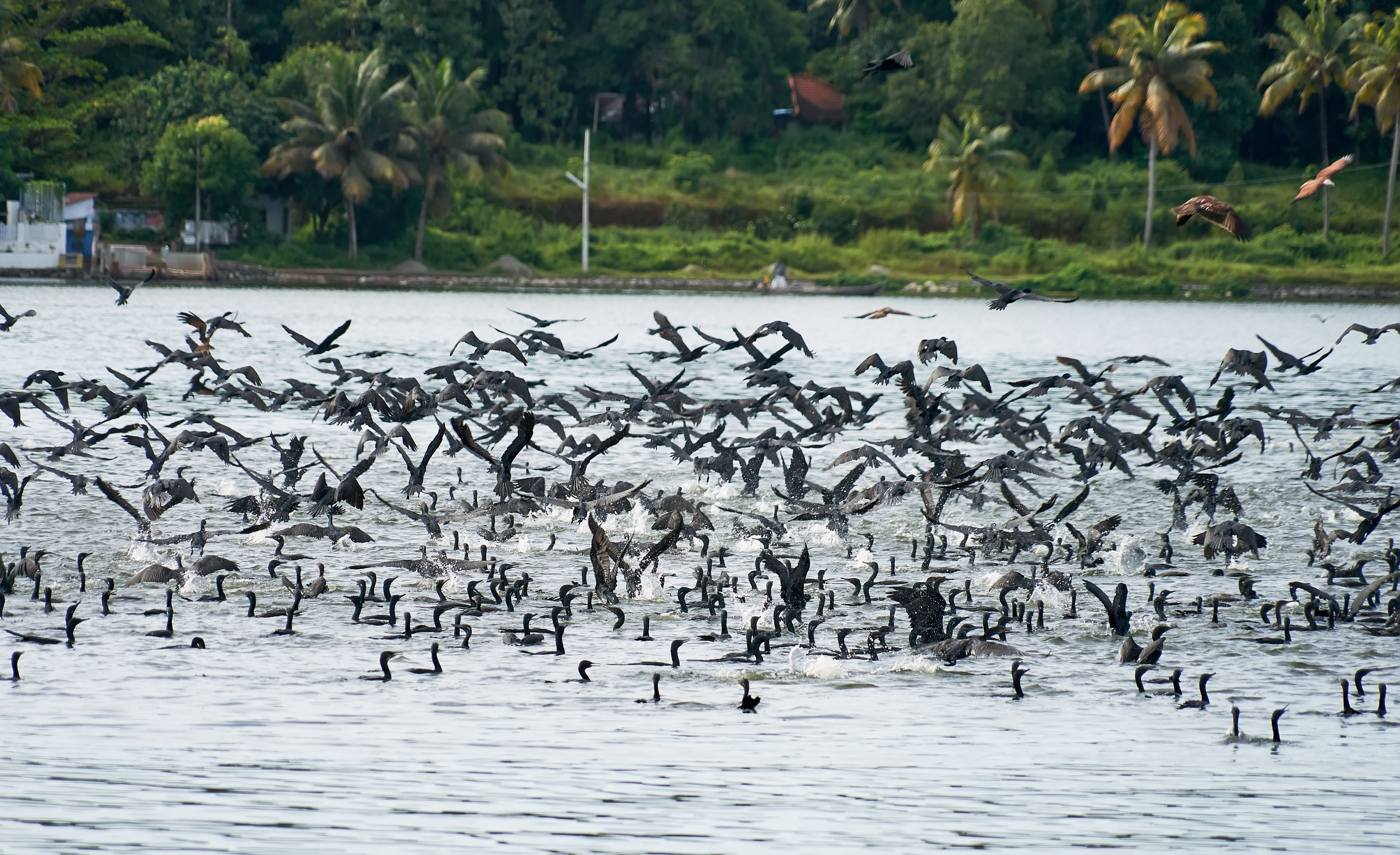 ПРИРОДА. ПЕЙЗАЖИ. Семейный фотограф. Путешествующий фотограф в Екатеринбурге Евгений Вор