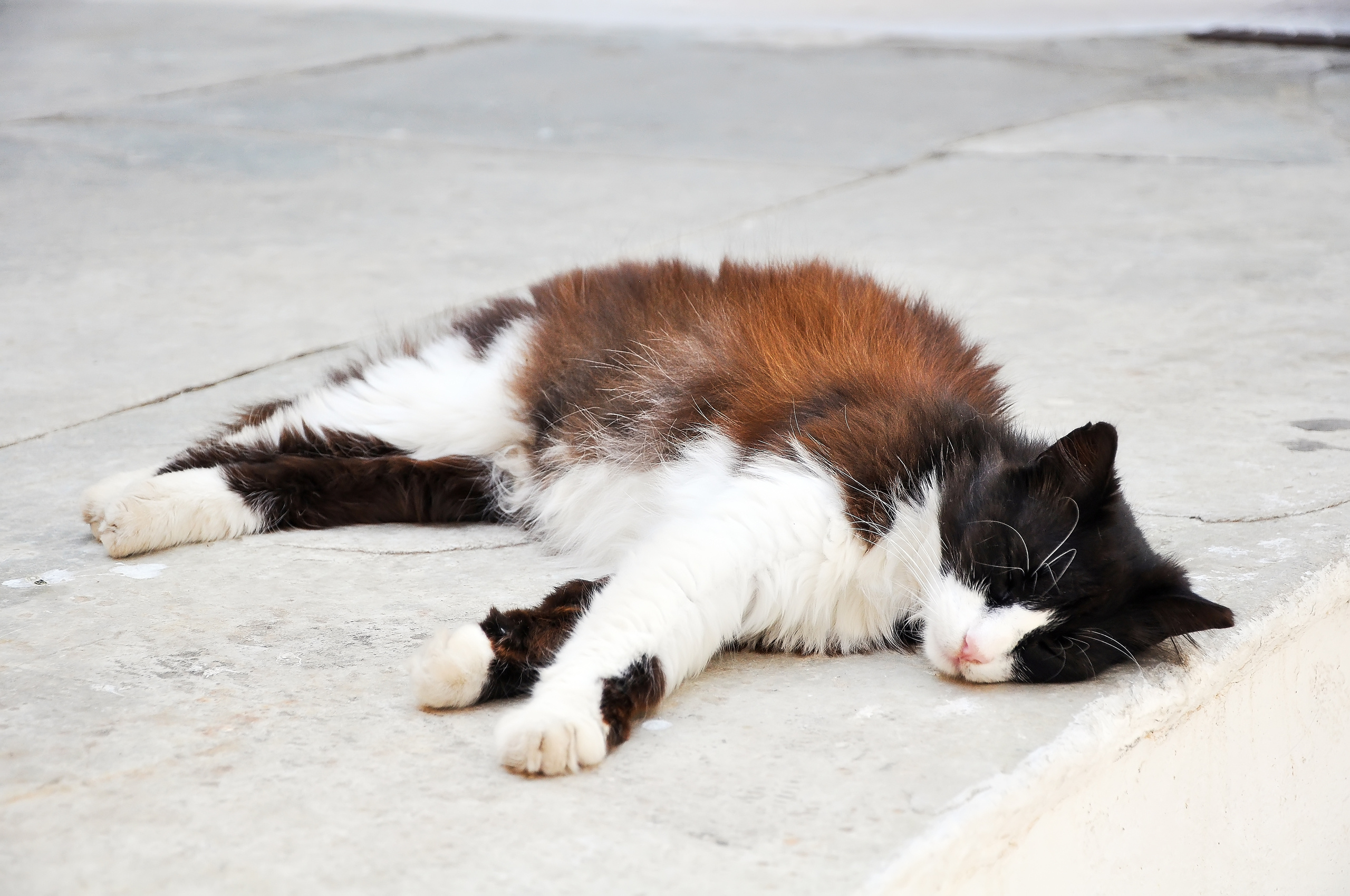 STREET PHOTO. Семейный фотограф. Путешествующий фотограф в Екатеринбурге Евгений Вор