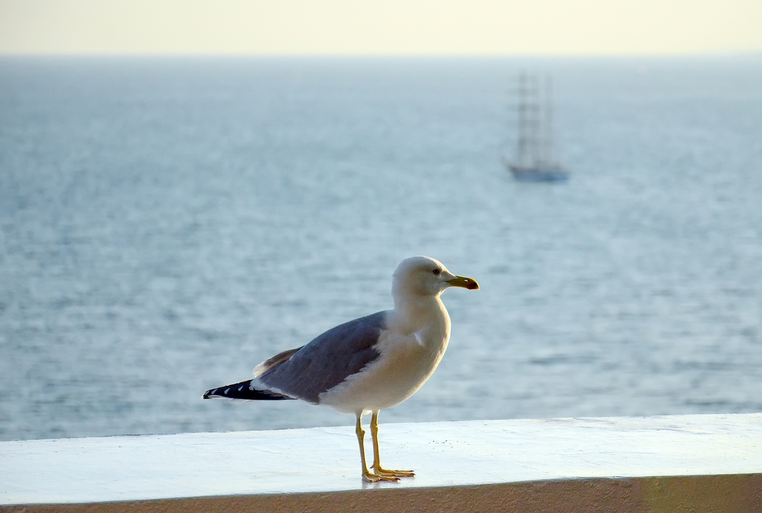ПРИРОДА. ПЕЙЗАЖИ. Семейный фотограф. Путешествующий фотограф в Екатеринбурге Евгений Вор