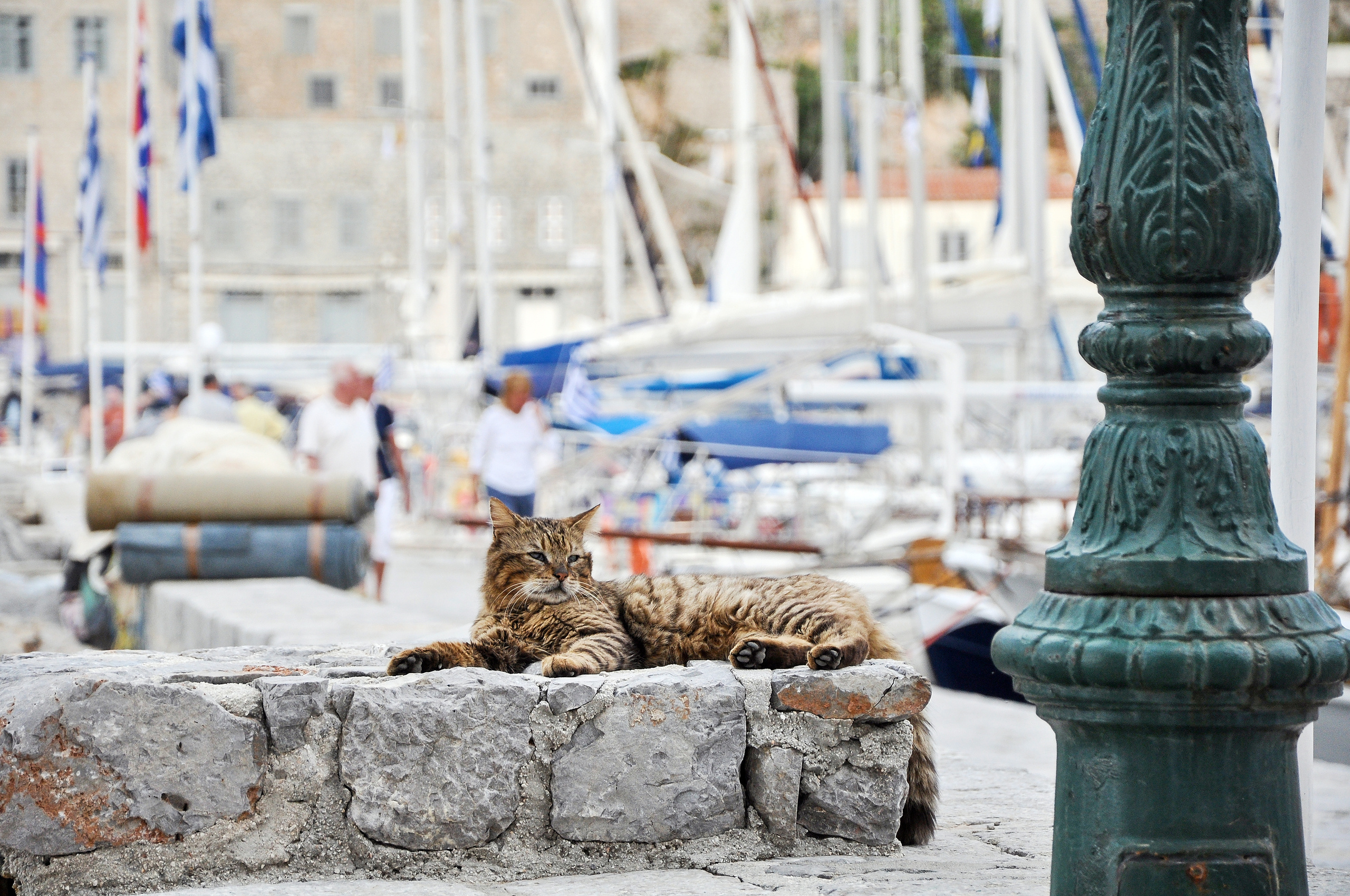 STREET PHOTO. Семейный фотограф. Путешествующий фотограф в Екатеринбурге Евгений Вор