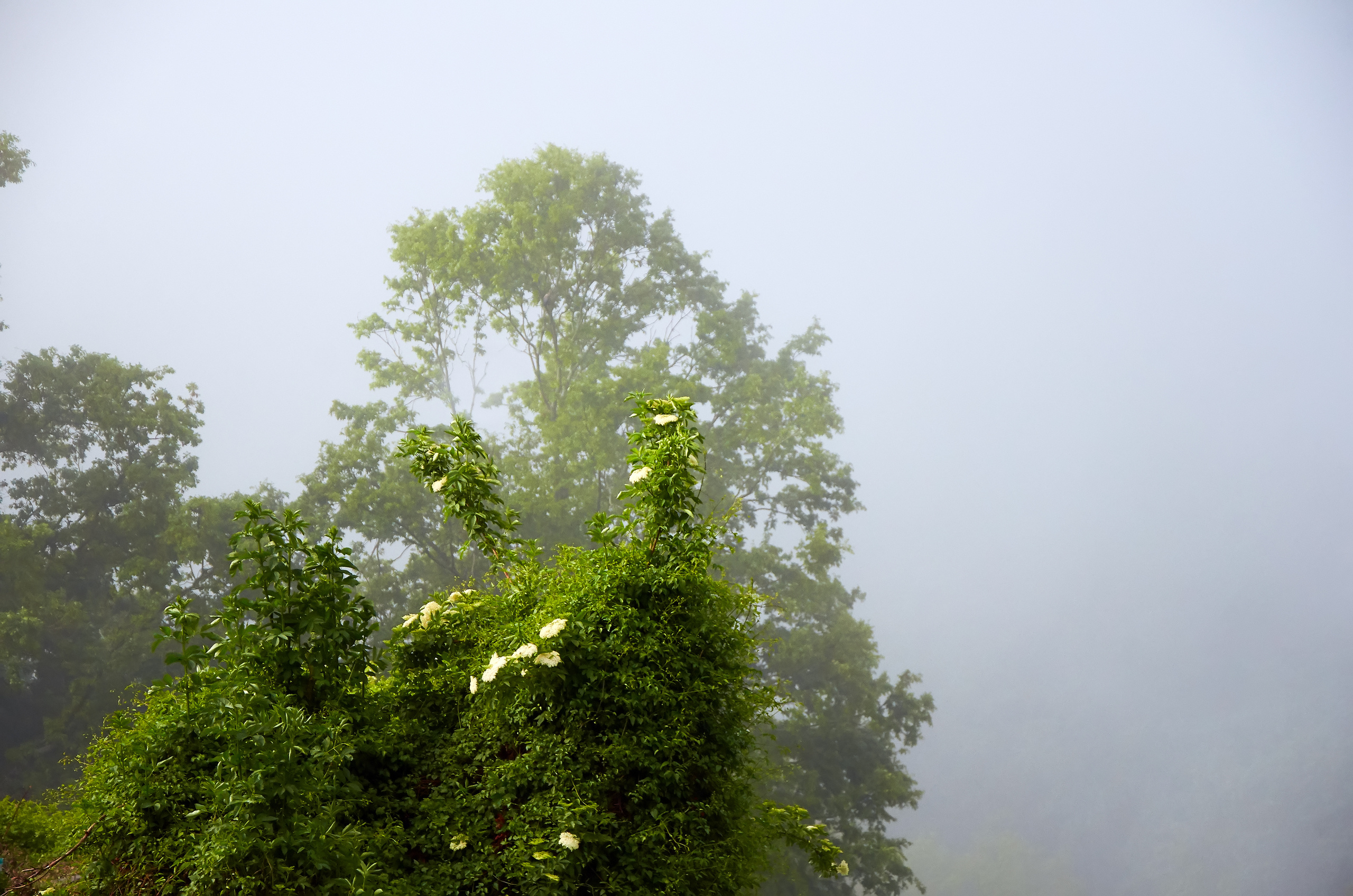 ПРИРОДА. ПЕЙЗАЖИ. Семейный фотограф. Путешествующий фотограф в Екатеринбурге Евгений Вор