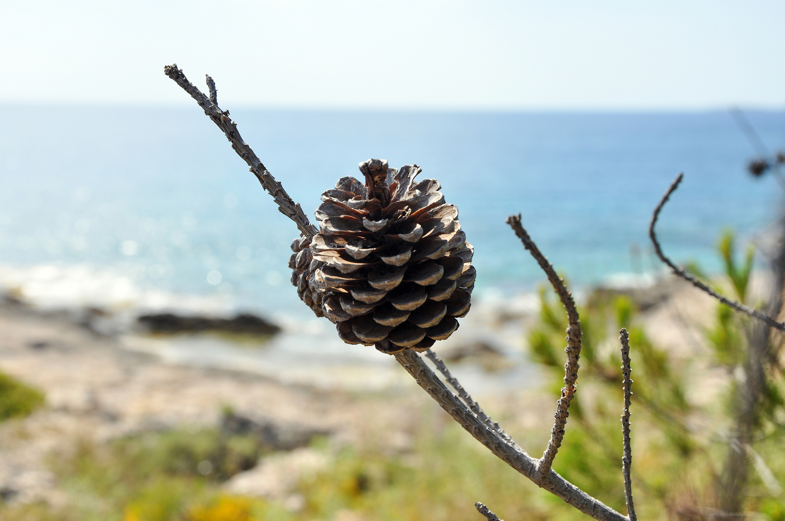 ПРИРОДА. ПЕЙЗАЖИ. Семейный фотограф. Путешествующий фотограф в Екатеринбурге Евгений Вор