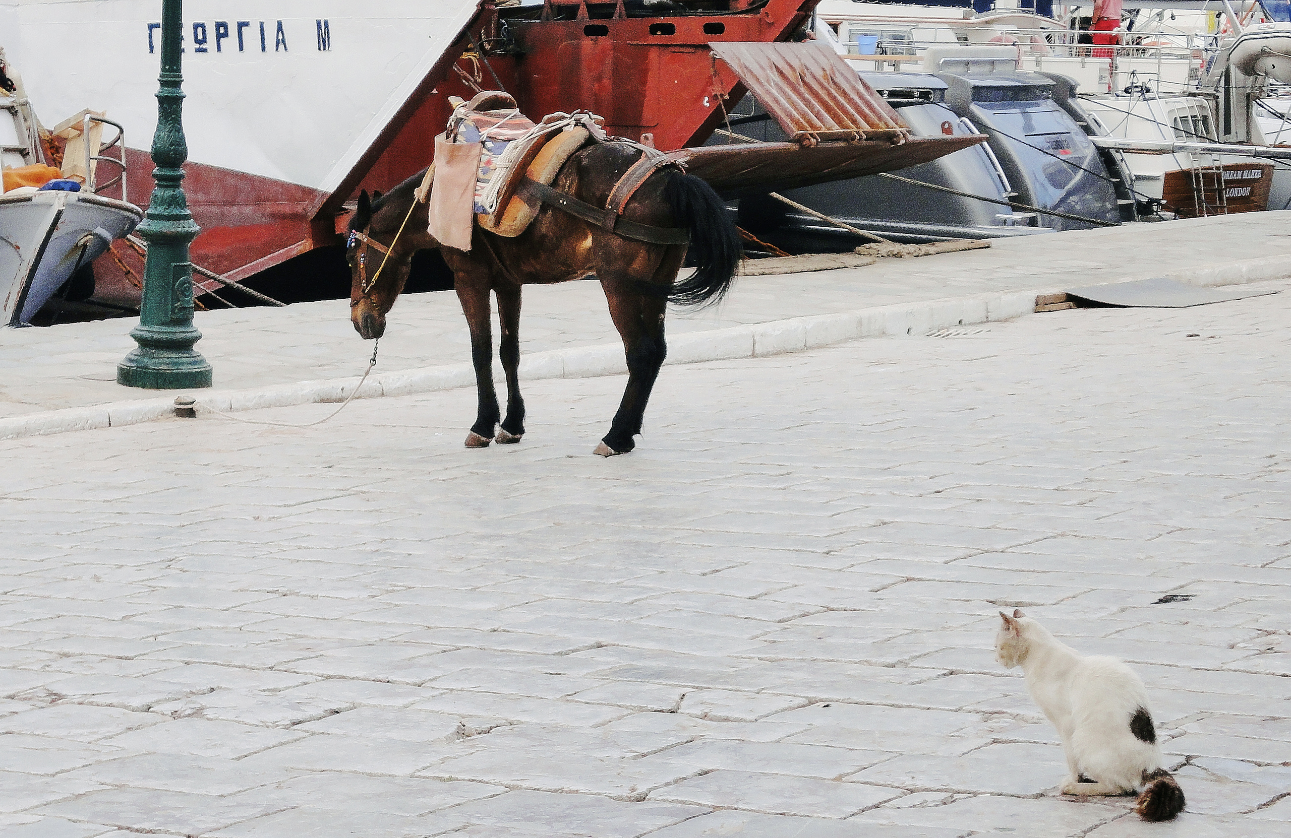 STREET PHOTO. Семейный фотограф. Путешествующий фотограф в Екатеринбурге Евгений Вор