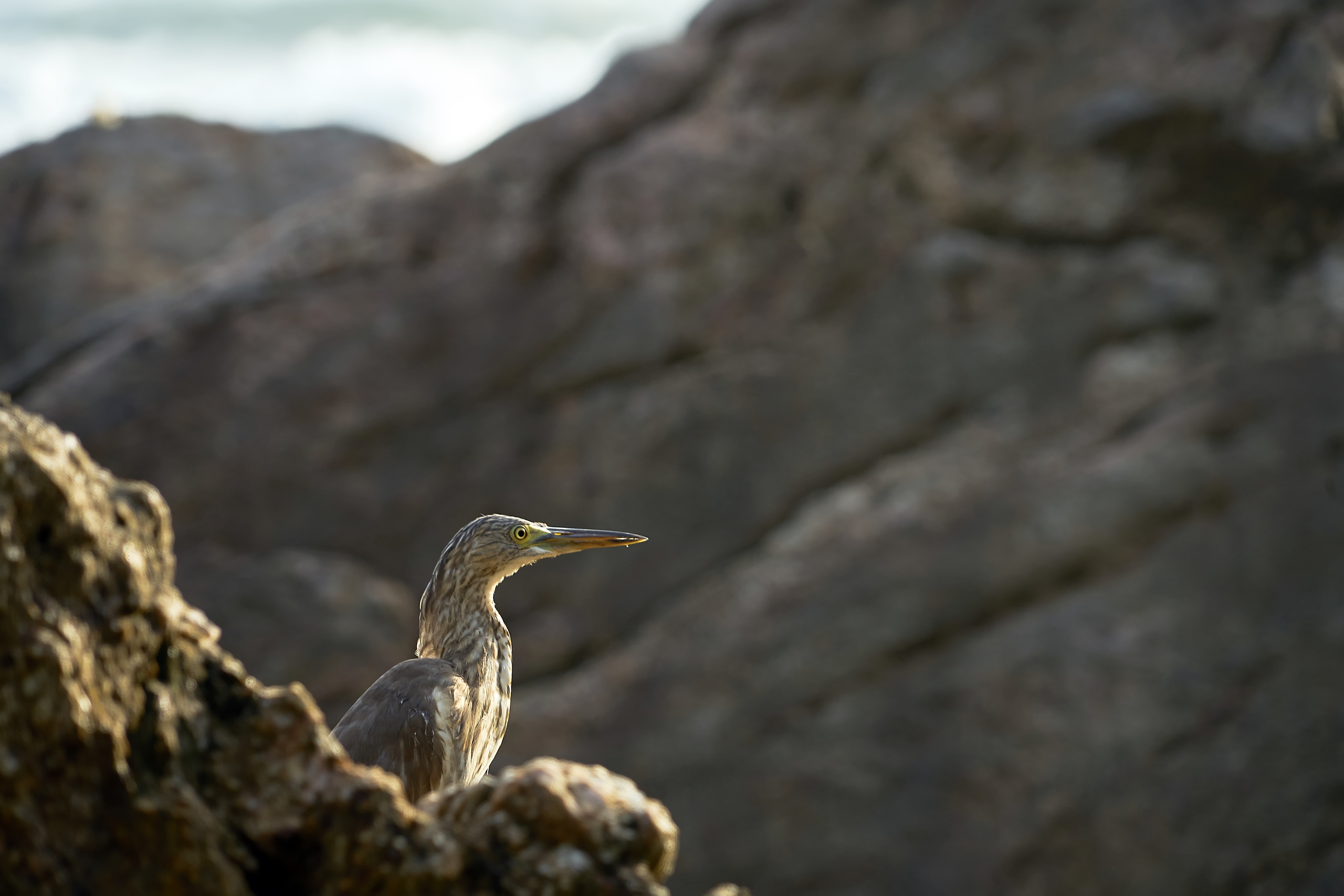 ПРИРОДА. ПЕЙЗАЖИ. Семейный фотограф. Путешествующий фотограф в Екатеринбурге Евгений Вор