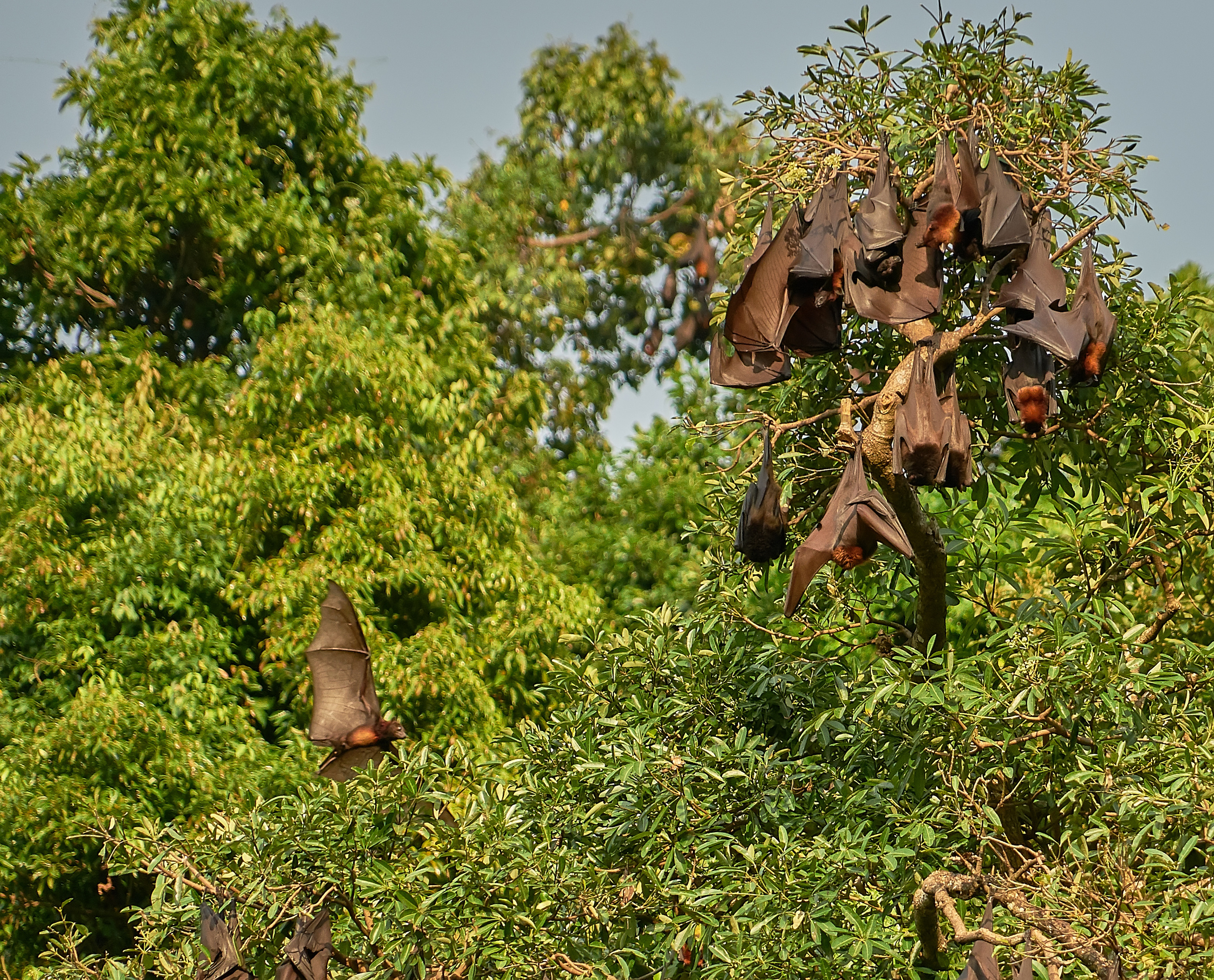 ПРИРОДА. ПЕЙЗАЖИ. Семейный фотограф. Путешествующий фотограф в Екатеринбурге Евгений Вор
