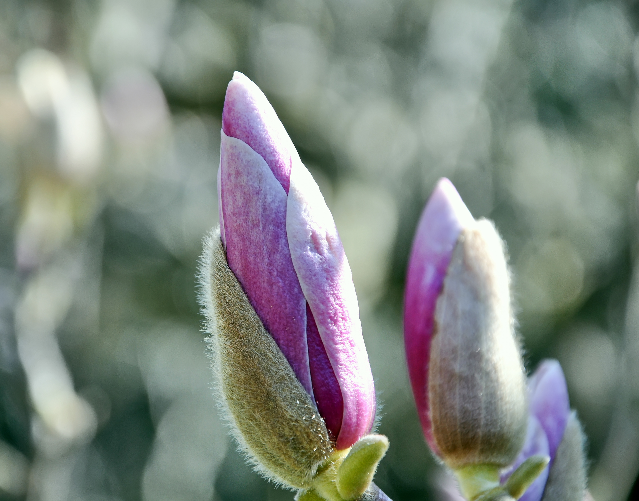 ПРИРОДА. ПЕЙЗАЖИ. Семейный фотограф. Путешествующий фотограф в Екатеринбурге Евгений Вор