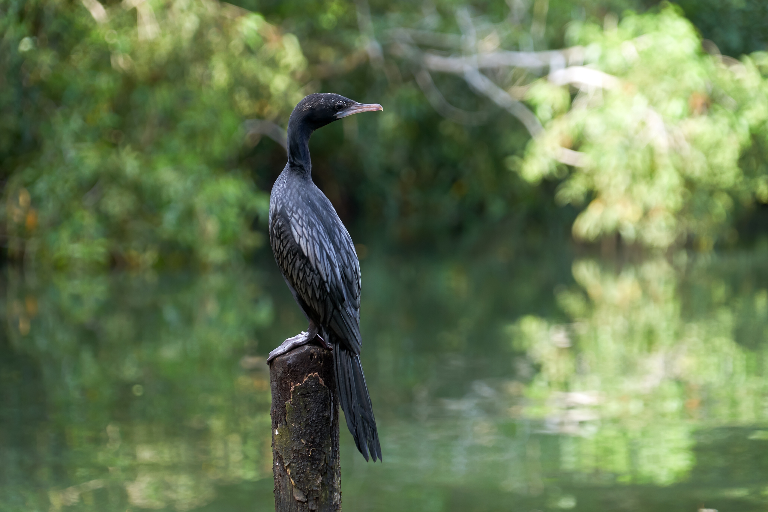 ПРИРОДА. ПЕЙЗАЖИ. Семейный фотограф. Путешествующий фотограф в Екатеринбурге Евгений Вор