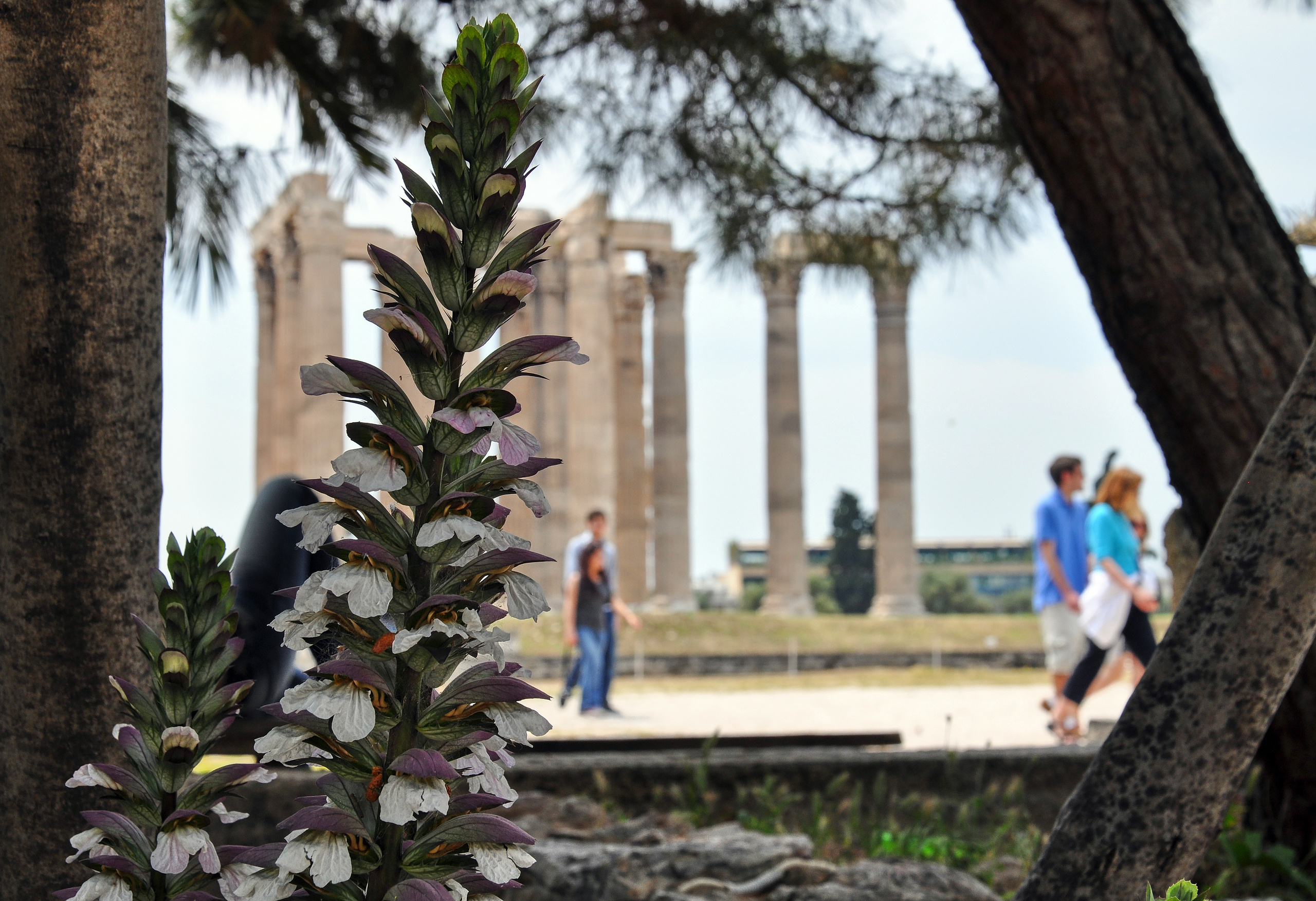 ДОСТОПРИМЕЧАТЕЛЬНОСТИ. ПУТЕШЕСТВИЯ. Семейный фотограф. Путешествующий фотограф в Екатеринбурге Евгений Вор