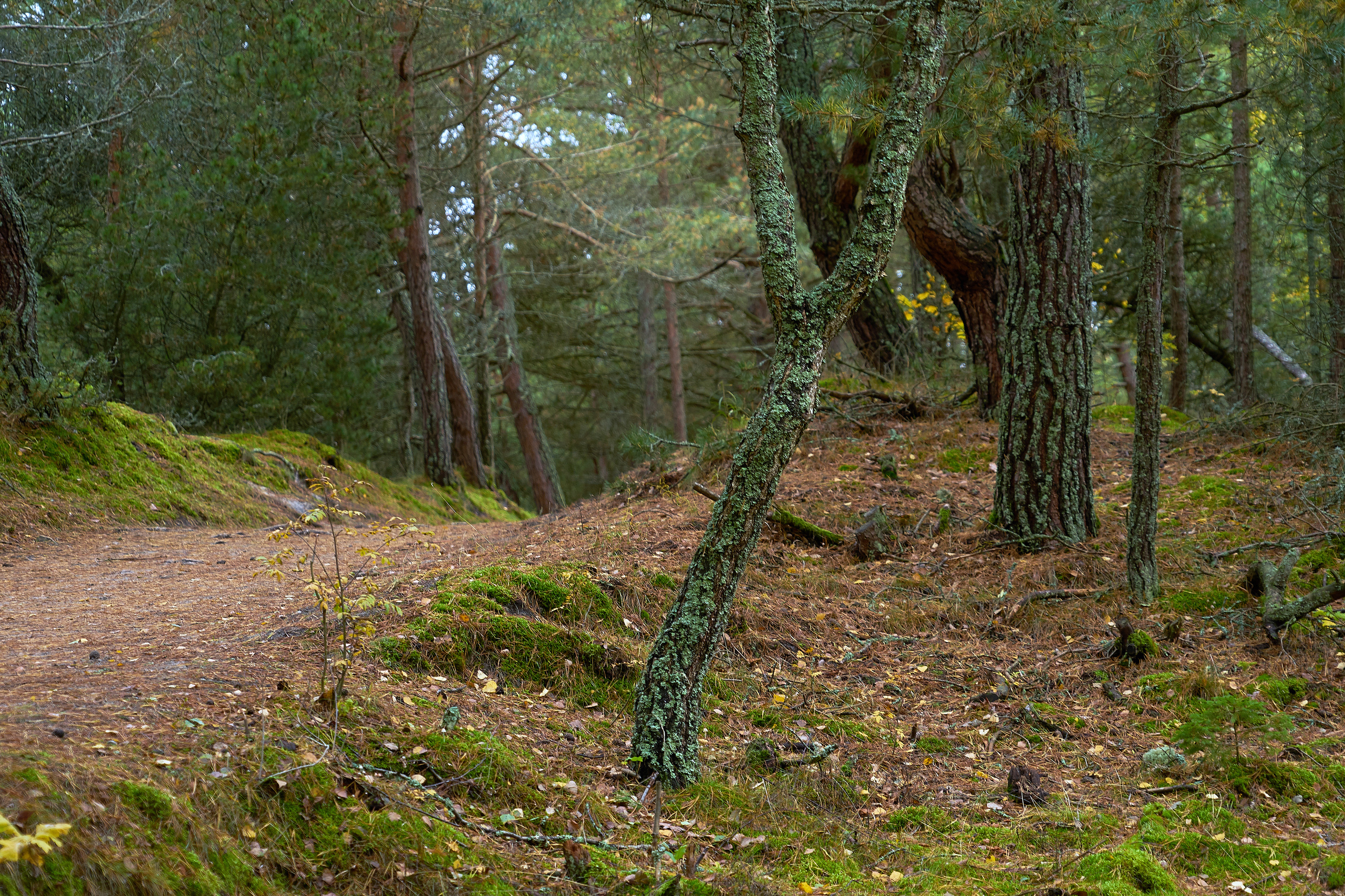 ПРИРОДА. ПЕЙЗАЖИ. Семейный фотограф. Путешествующий фотограф в Екатеринбурге Евгений Вор