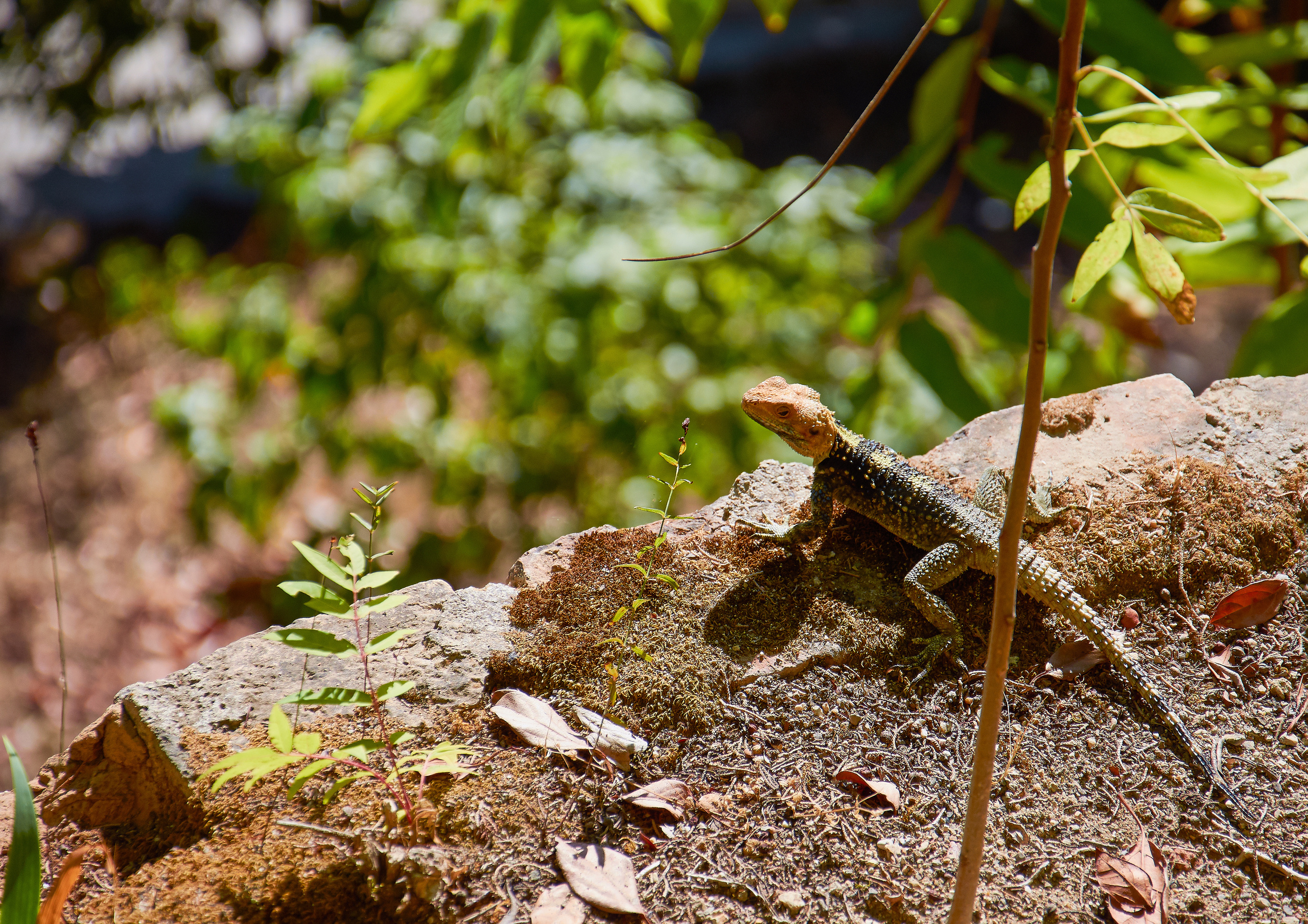 ПРИРОДА. ПЕЙЗАЖИ. Семейный фотограф. Путешествующий фотограф в Екатеринбурге Евгений Вор