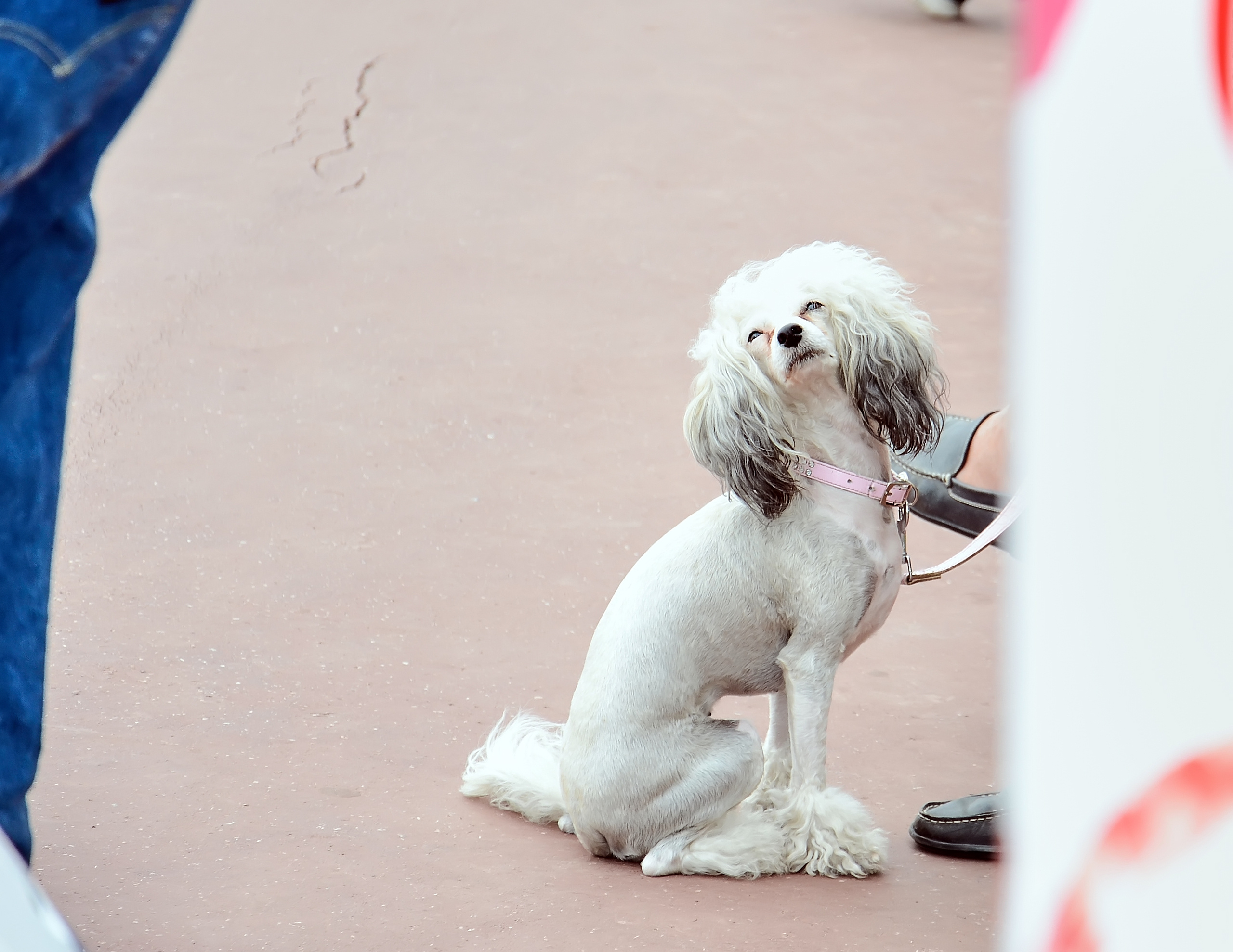 STREET PHOTO. Семейный фотограф. Путешествующий фотограф в Екатеринбурге Евгений Вор