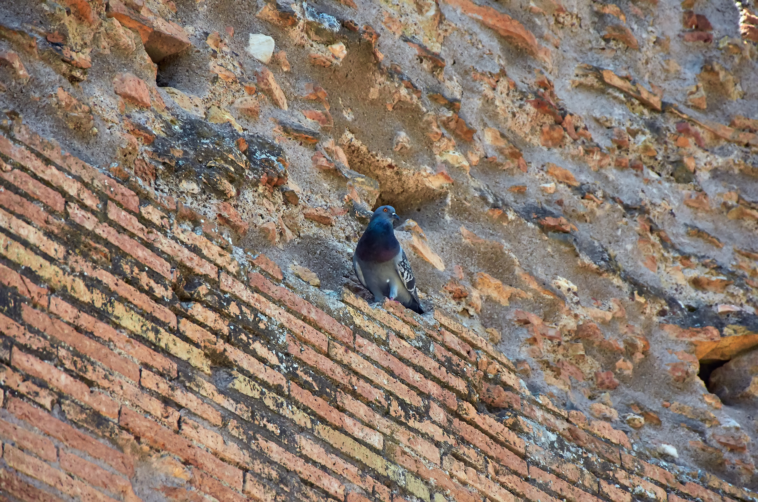 ДОСТОПРИМЕЧАТЕЛЬНОСТИ. ПУТЕШЕСТВИЯ. Семейный фотограф. Путешествующий фотограф в Екатеринбурге Евгений Вор