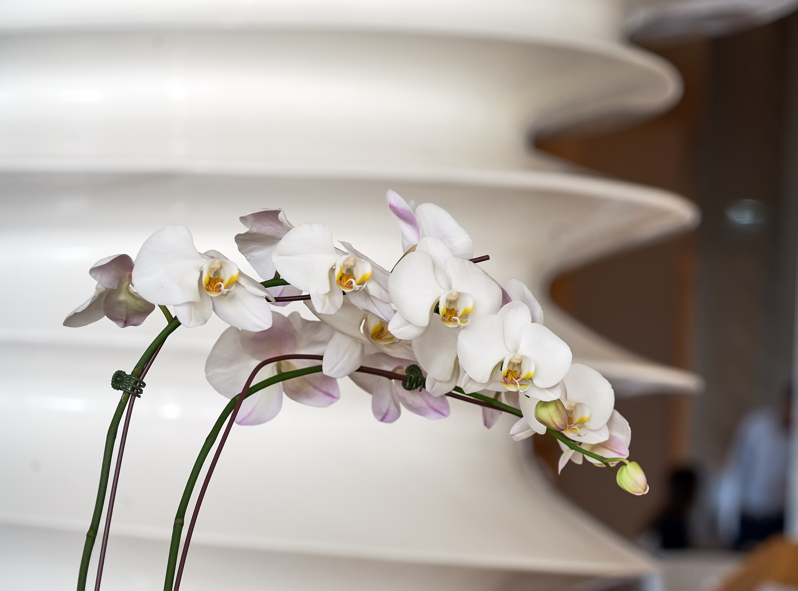 ДОСТОПРИМЕЧАТЕЛЬНОСТИ. ПУТЕШЕСТВИЯ. Семейный фотограф. Путешествующий фотограф в Екатеринбурге Евгений Вор