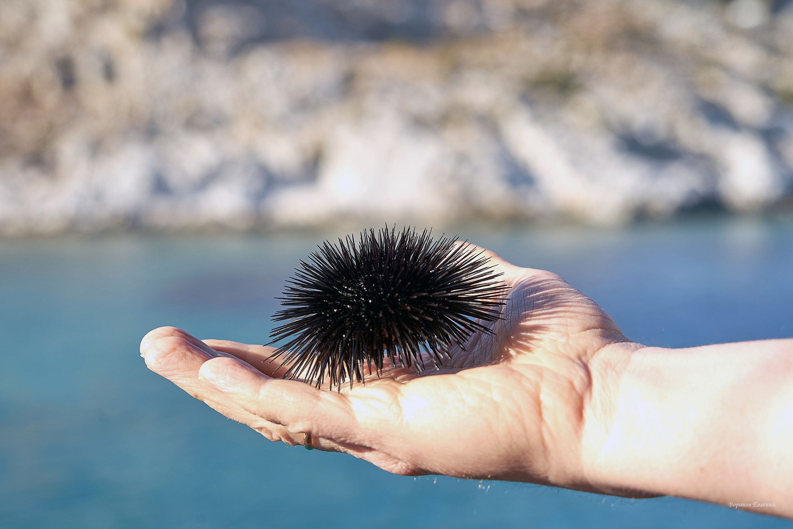 ПРИРОДА. ПЕЙЗАЖИ. Семейный фотограф. Путешествующий фотограф в Екатеринбурге Евгений Вор