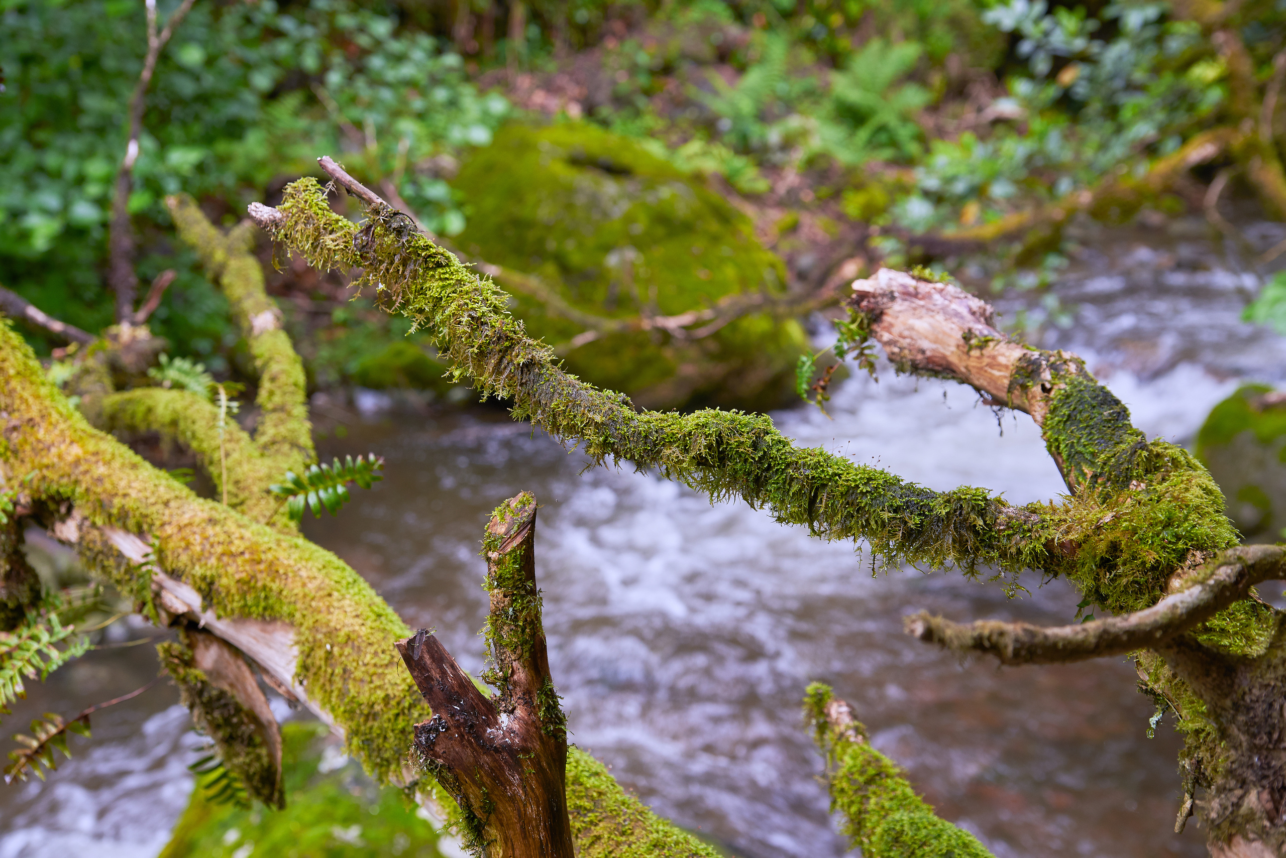 ПРИРОДА. ПЕЙЗАЖИ. Семейный фотограф. Путешествующий фотограф в Екатеринбурге Евгений Вор