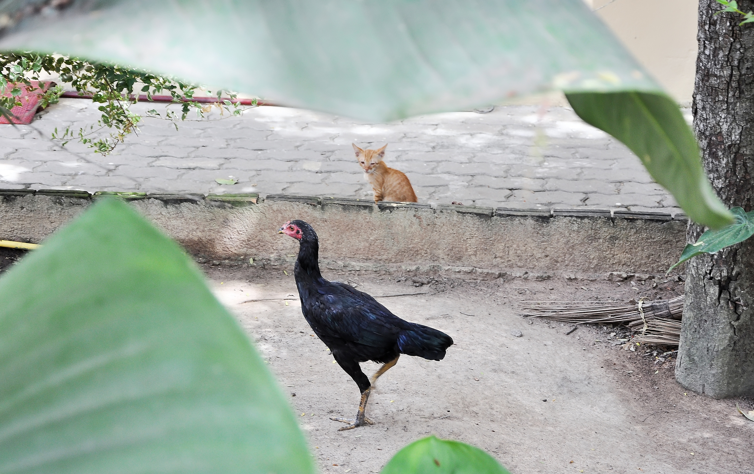 STREET PHOTO. Семейный фотограф. Путешествующий фотограф в Екатеринбурге Евгений Вор
