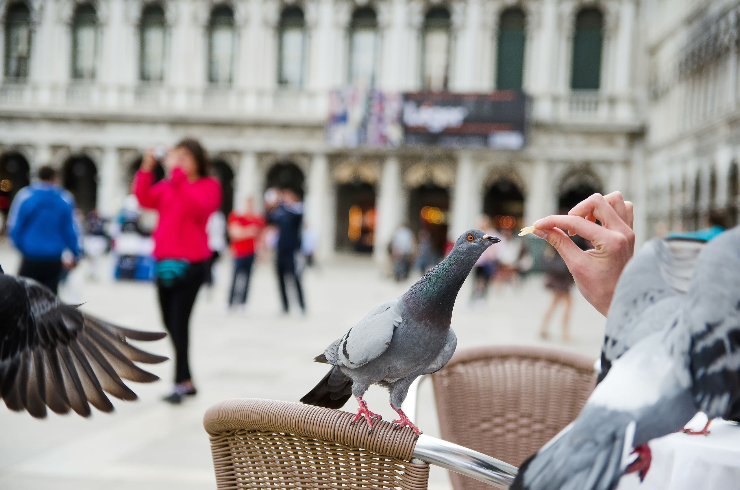 ДОСТОПРИМЕЧАТЕЛЬНОСТИ. ПУТЕШЕСТВИЯ. Семейный фотограф. Путешествующий фотограф в Екатеринбурге Евгений Вор