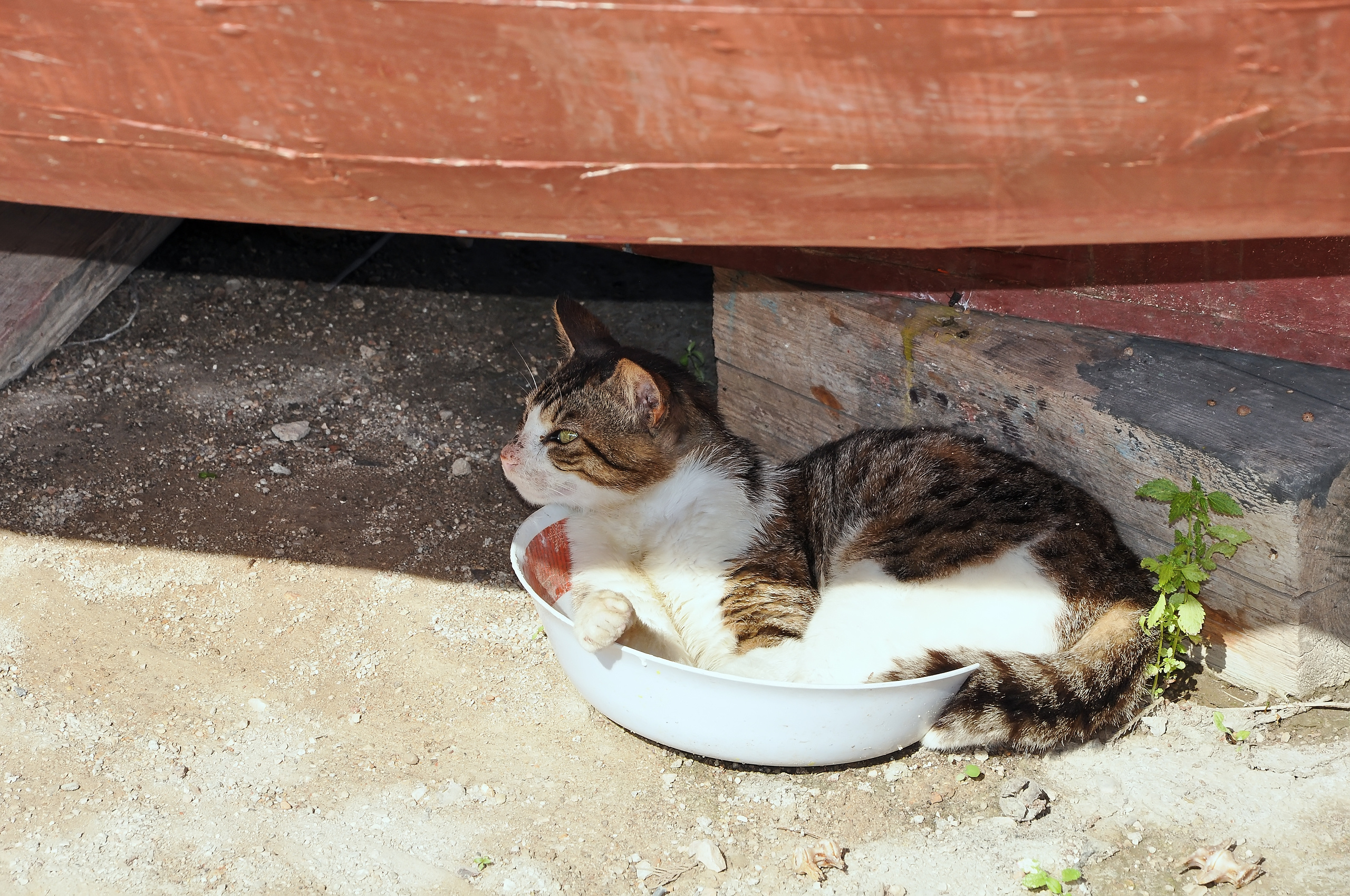 STREET PHOTO. Семейный фотограф. Путешествующий фотограф в Екатеринбурге Евгений Вор