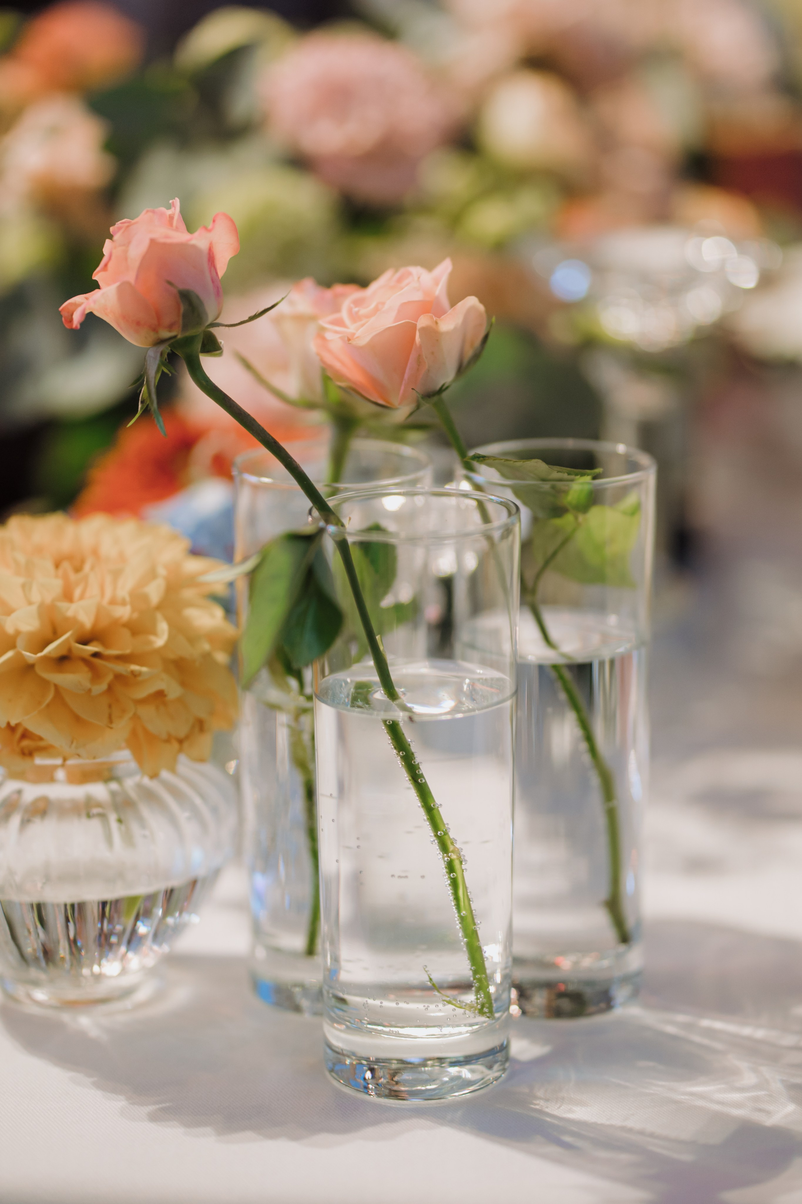 Antalya Akra. Wedding & Documentary Photographer based in Nuremberg — available across Europe & Turkey | Vitalii Nasonov