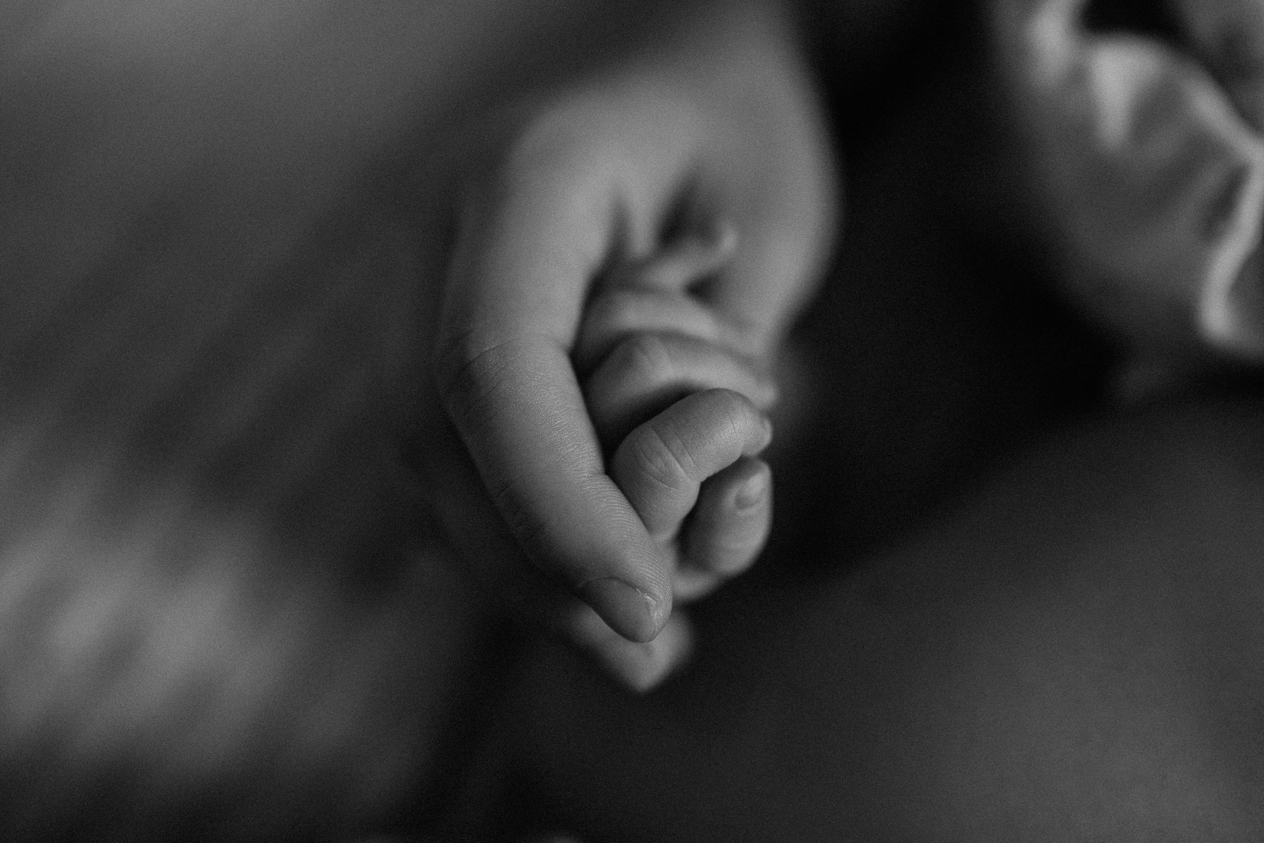 Групповые | Семейные. Индивидуальный и lovestory фотограф в Самаре. Никонорова Наталья